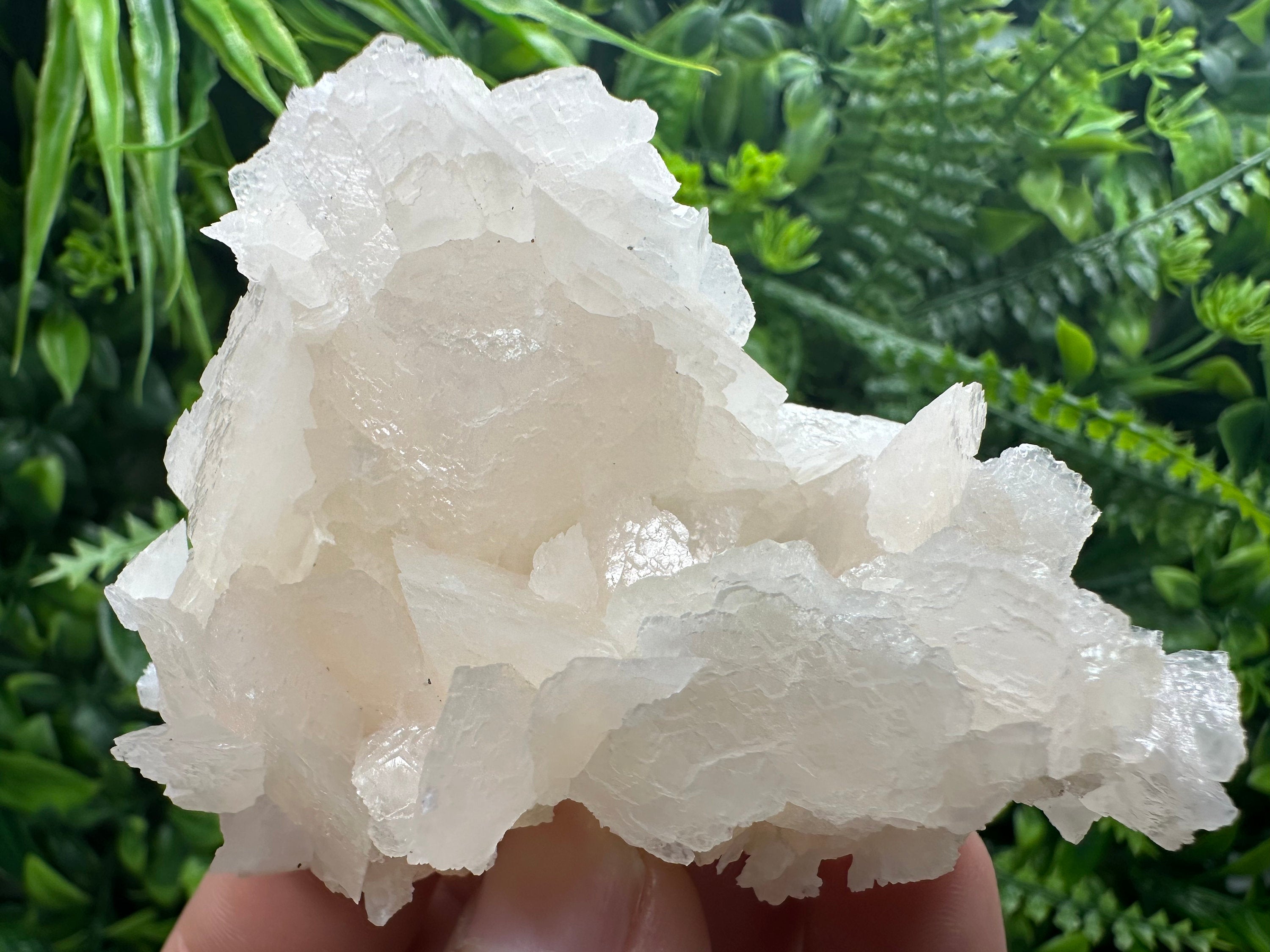 Rare Mangano Calcite Cluster: Borieva Mine, Bulgaria