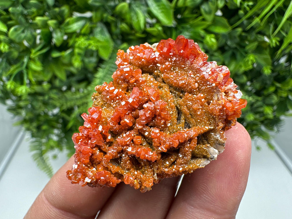 Red Vanadinite on Barite from Marocco,crystal minerals Speciment cluster Vanadinite crystal Vanadinite Geology Vanadinite cluster minerals