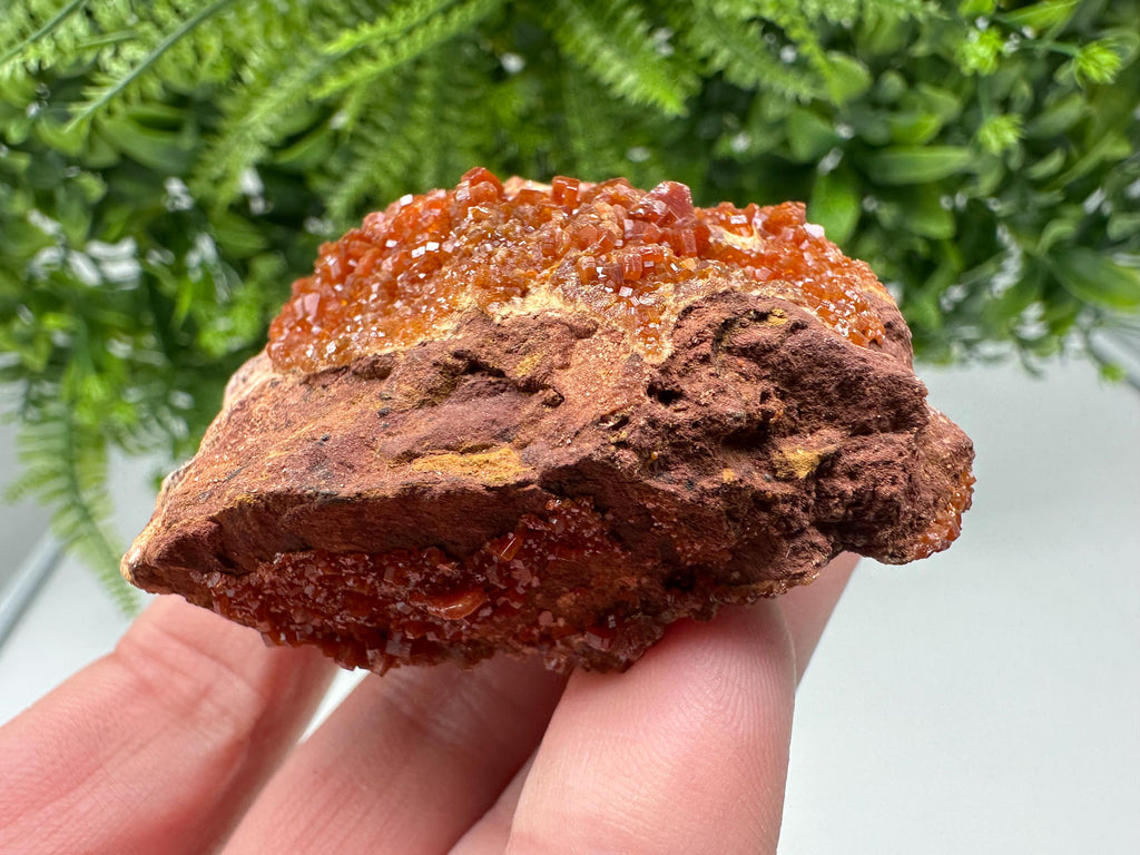 Red Vanadinite on Matrix from Marocco,crystal minerals Speciment cluster Vanadinite crystal Vanadinite Geology Vanadinite cluster minerals
