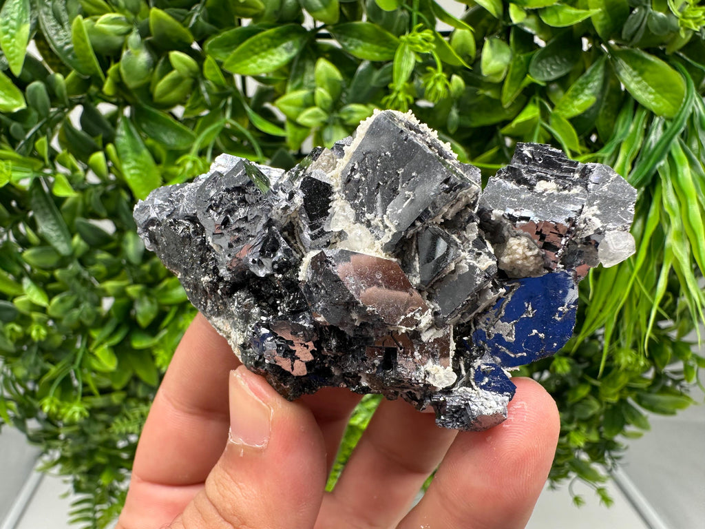 Rare Mirror Galena Cubes: Marzyan Mine, Bulgaria