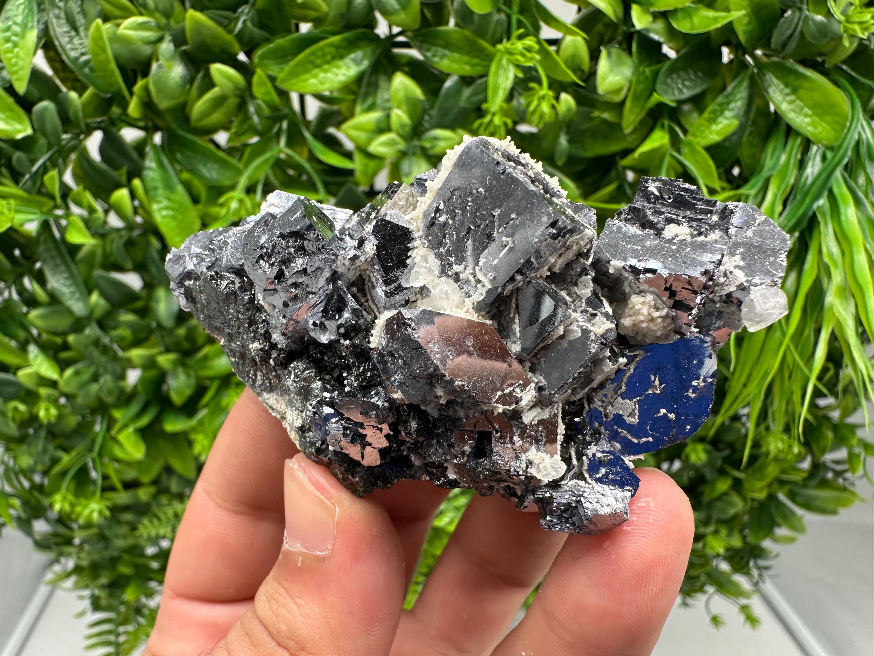 Rare Mirror Galena Cubes: Marzyan Mine, Bulgaria