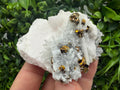 Mangano Calcite on Quartz with Pyrite, Madan Bulgaria Mineral Specimen