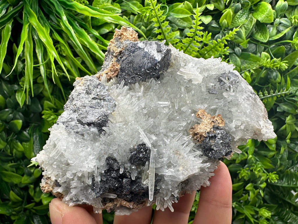 Sphalerite on Green Quartz: Natural Mineral Souvenir from Bulgaria
