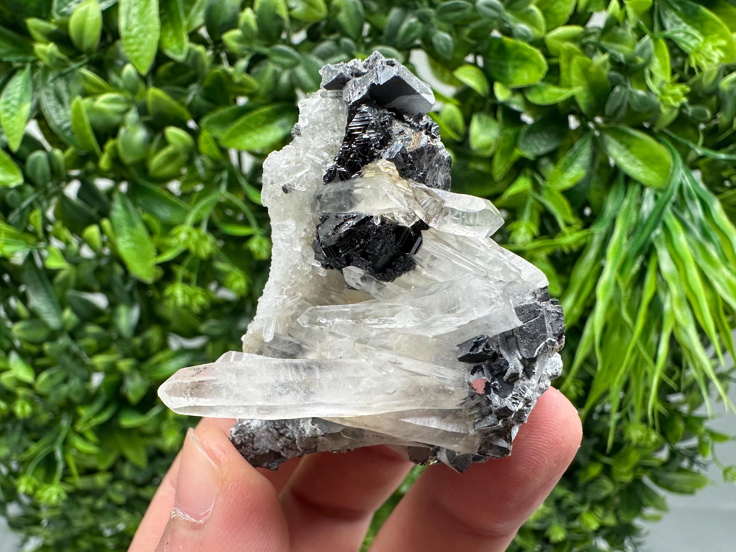 Wonderful Sphalerite Chalcopyrite on  Quartz whit Hematite feom 9 th September mine,Bulgaria,natural,collection mineral specimen,gift