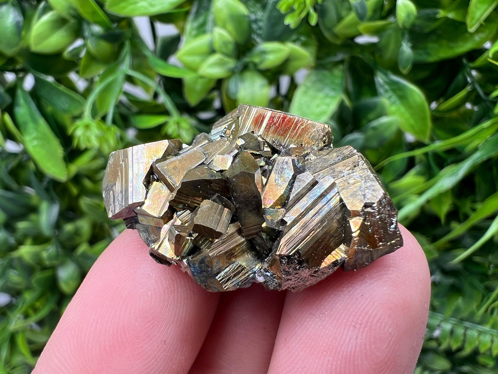 Mini Rainbow Pyrite Cluster: Borieva Mine, Bulgaria