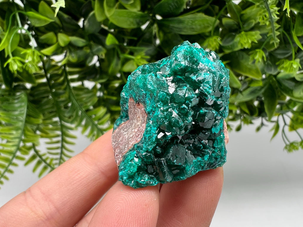 Stunning Green Dioptase from Sanda Hills,Mindouli,Pool Department,Mindouli District,Congo,green Dioptase,Dioptas Crystal,Dioptase collecting
