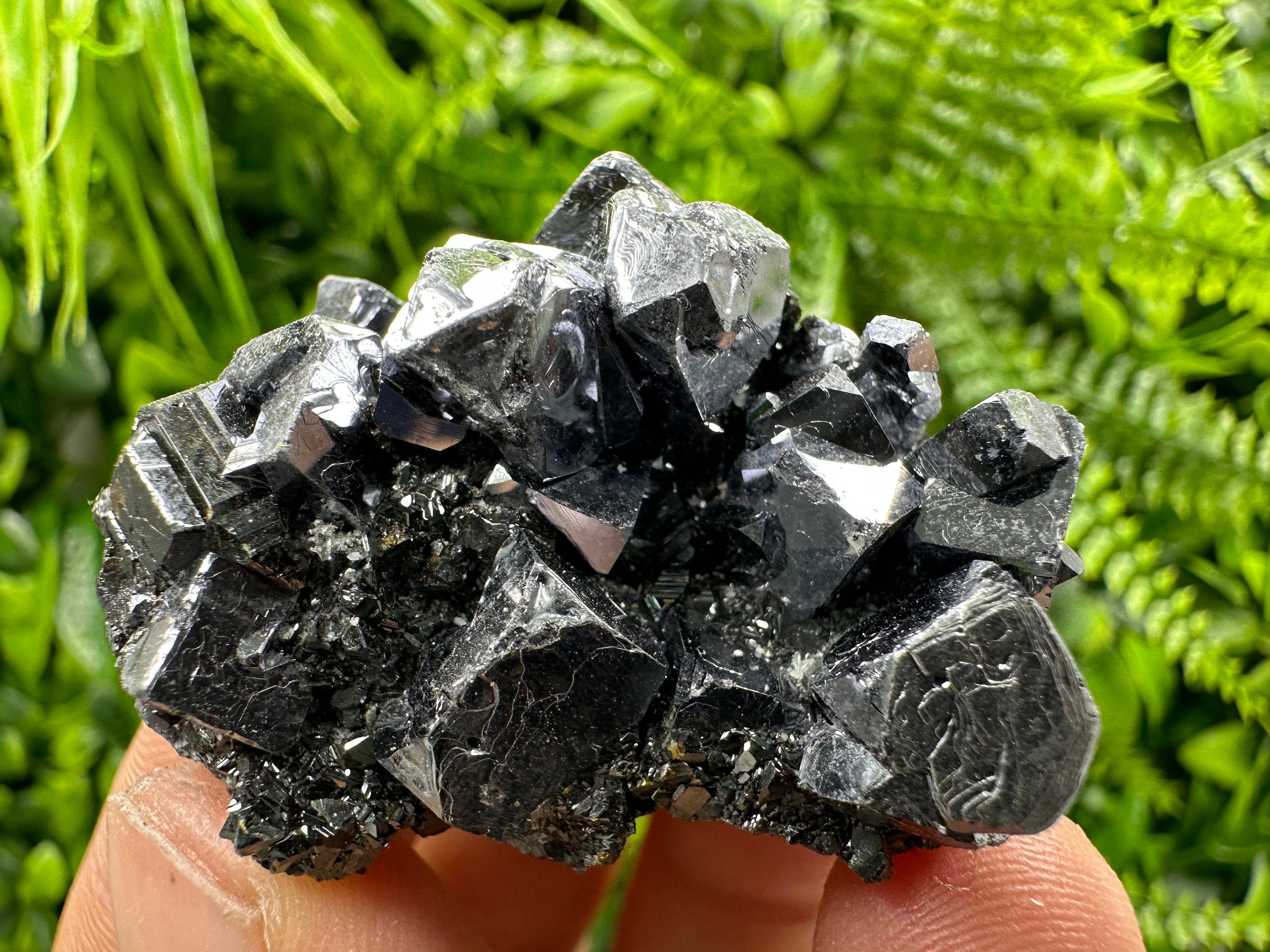 Galena on Sphalerite Specimen - Borieva Mine, Bulgaria