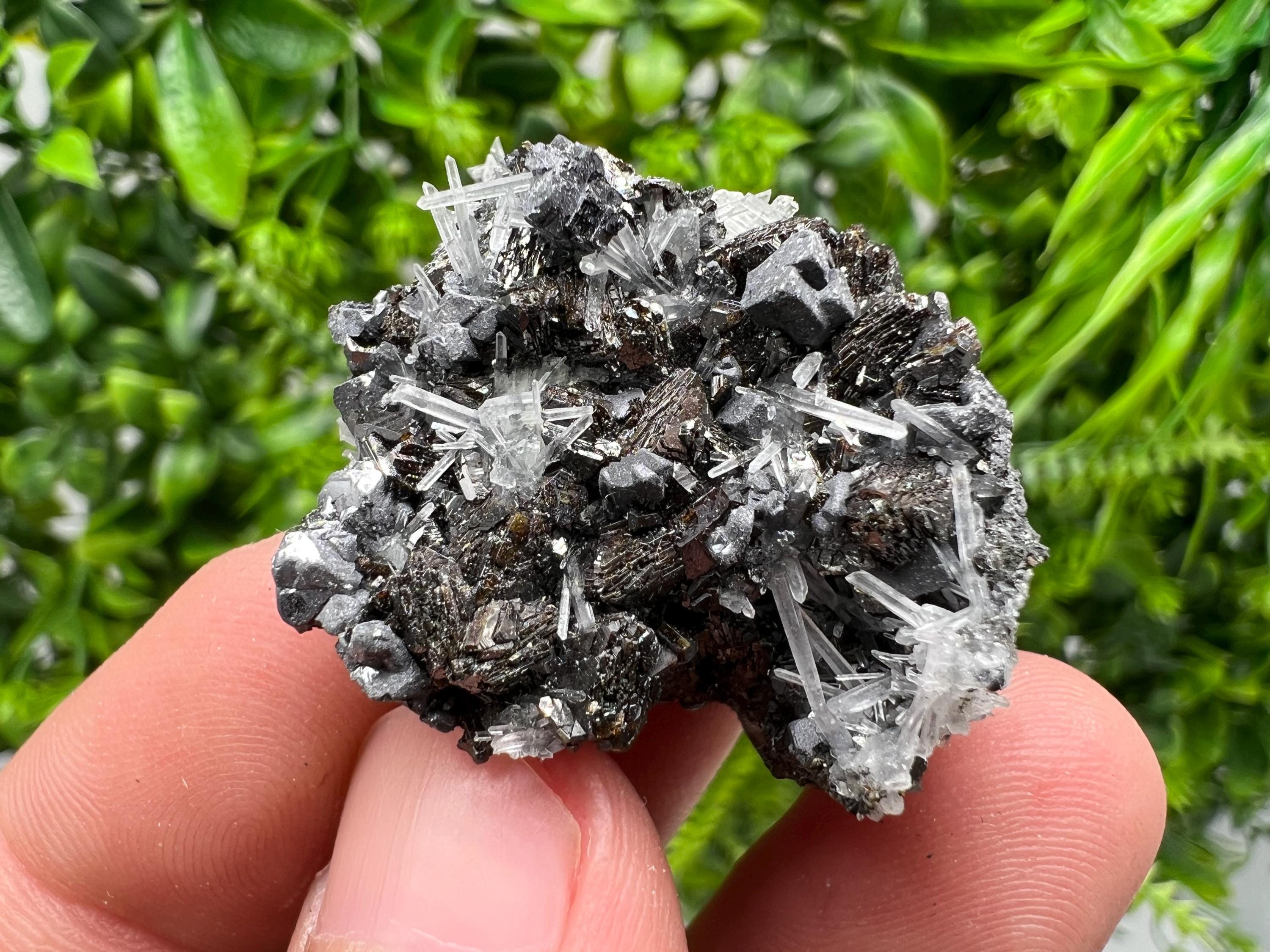 Calcite Sphalerite Galena on Quartz, Borieva Mine Mineral Specimen