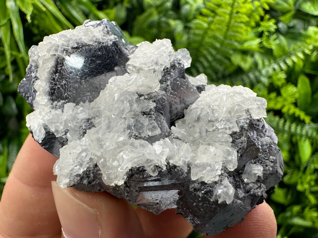 Galena with Calcite Cluster, Batantci Mine Mineral Specimen