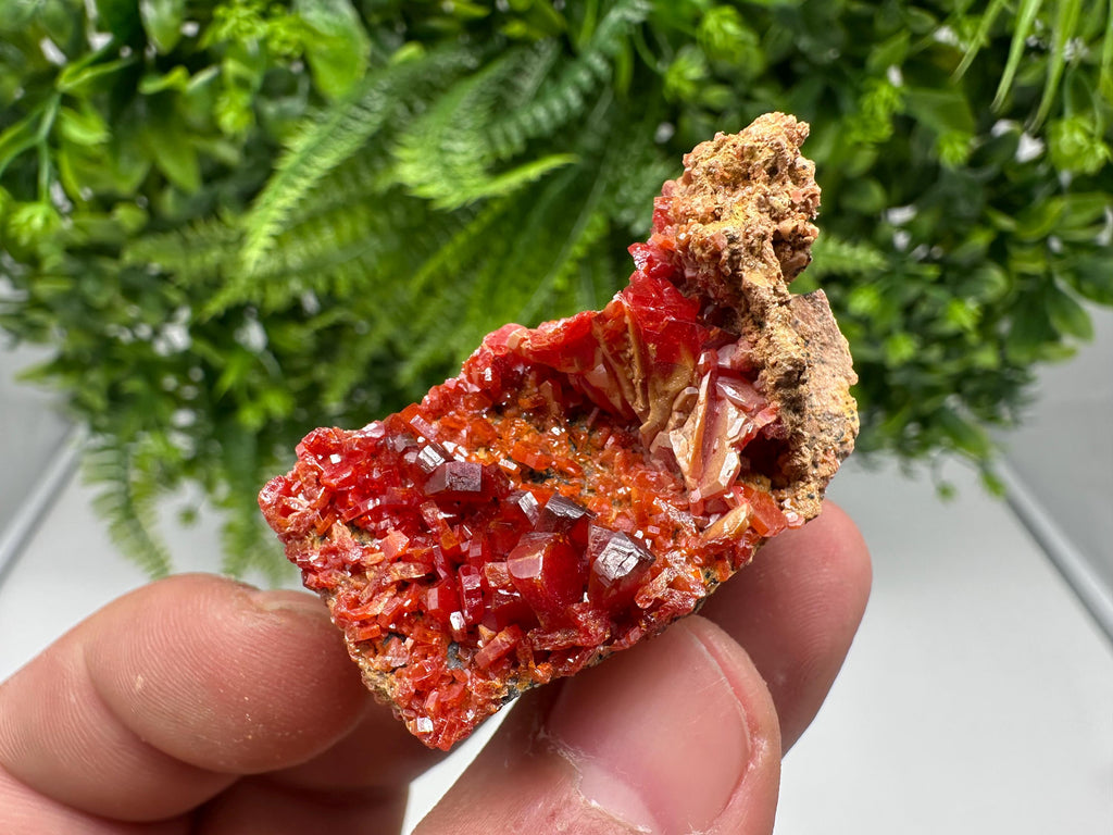 Red Vanadinite on Barite from Marocco,crystal minerals Speciment cluster Vanadinite crystal Vanadinite Geology Vanadinite cluster minerals