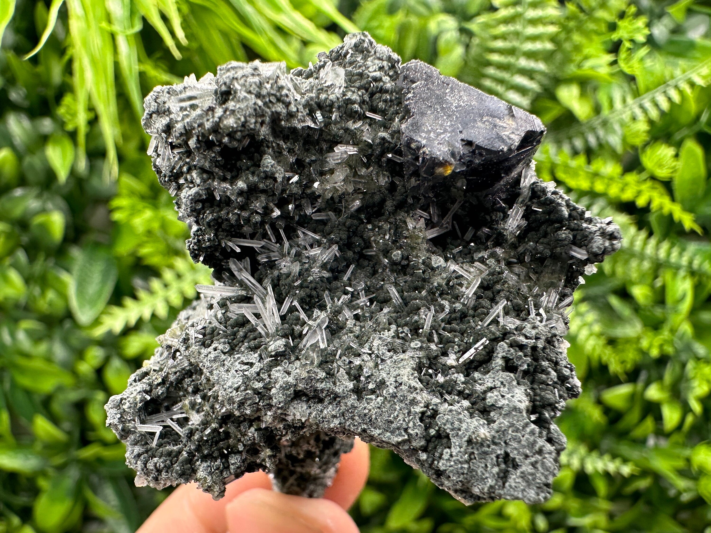Sphalerite Galena on Green Quartz: Borieva Mine Crystal Decor