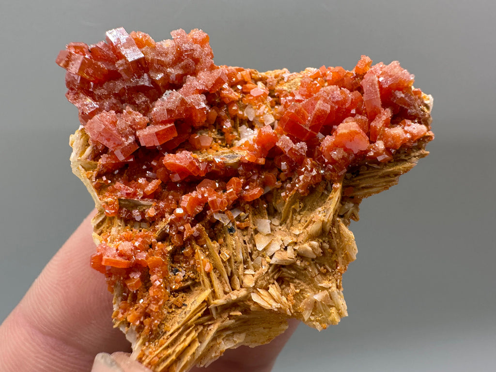 Red Vanadinite Crystal Cluster on Matrix, Morocco Mineral Specimen