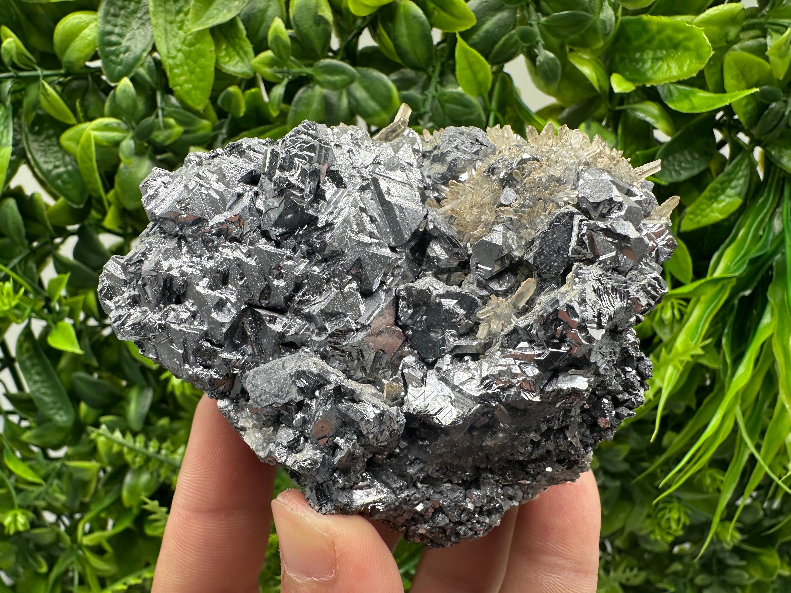 Galena Cluster with Quartz, Krushev Dol Mine, Bulgaria
