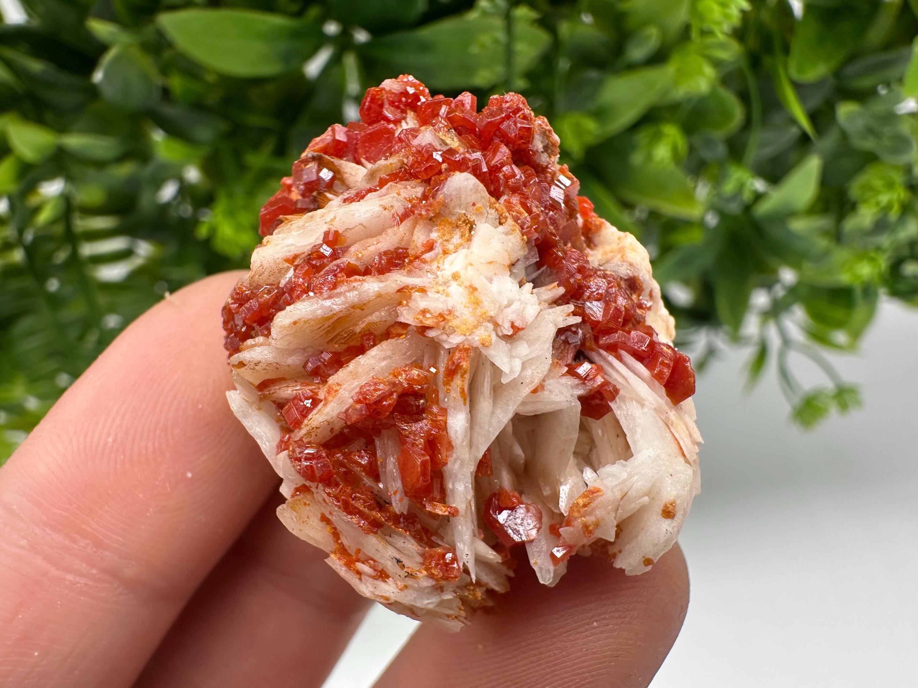 Red Vanadinite on Barite from Marocco,crystal minerals Speciment cluster Vanadinite crystal Vanadinite Geology Vanadinite cluster minerals