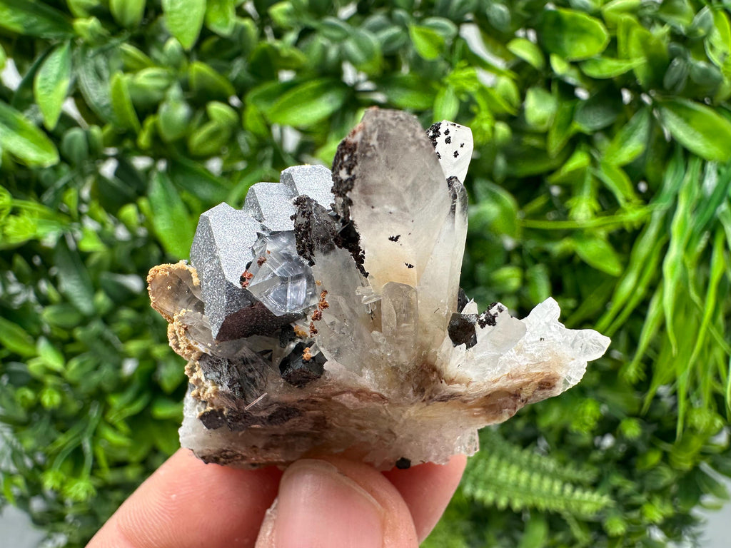 Wonderful Sphalerite Chalcopyrite on  Quartz whit Galena feom 9 th September mine,Bulgaria,natural,collection mineral specimen,gift