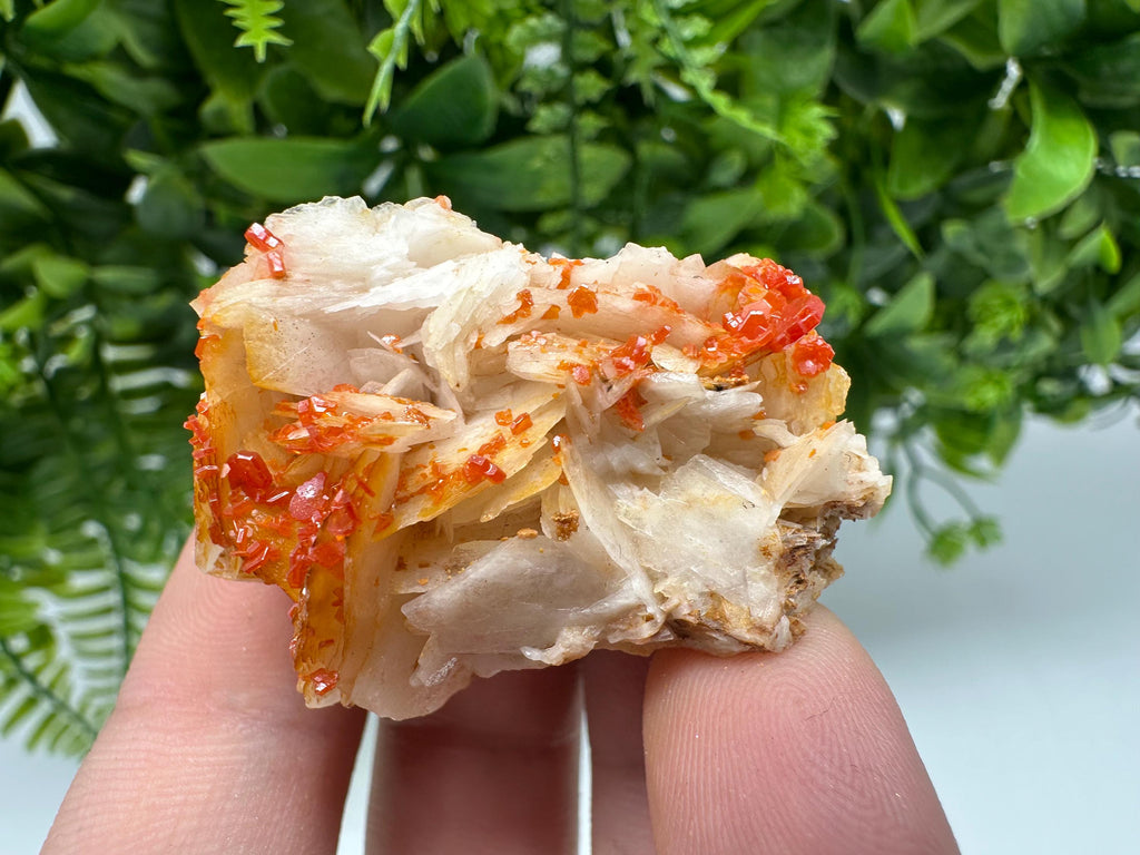 Red Vanadinite on Barite from Marocco,crystal minerals Speciment cluster Vanadinite crystal Vanadinite Geology Vanadinite cluster minerals