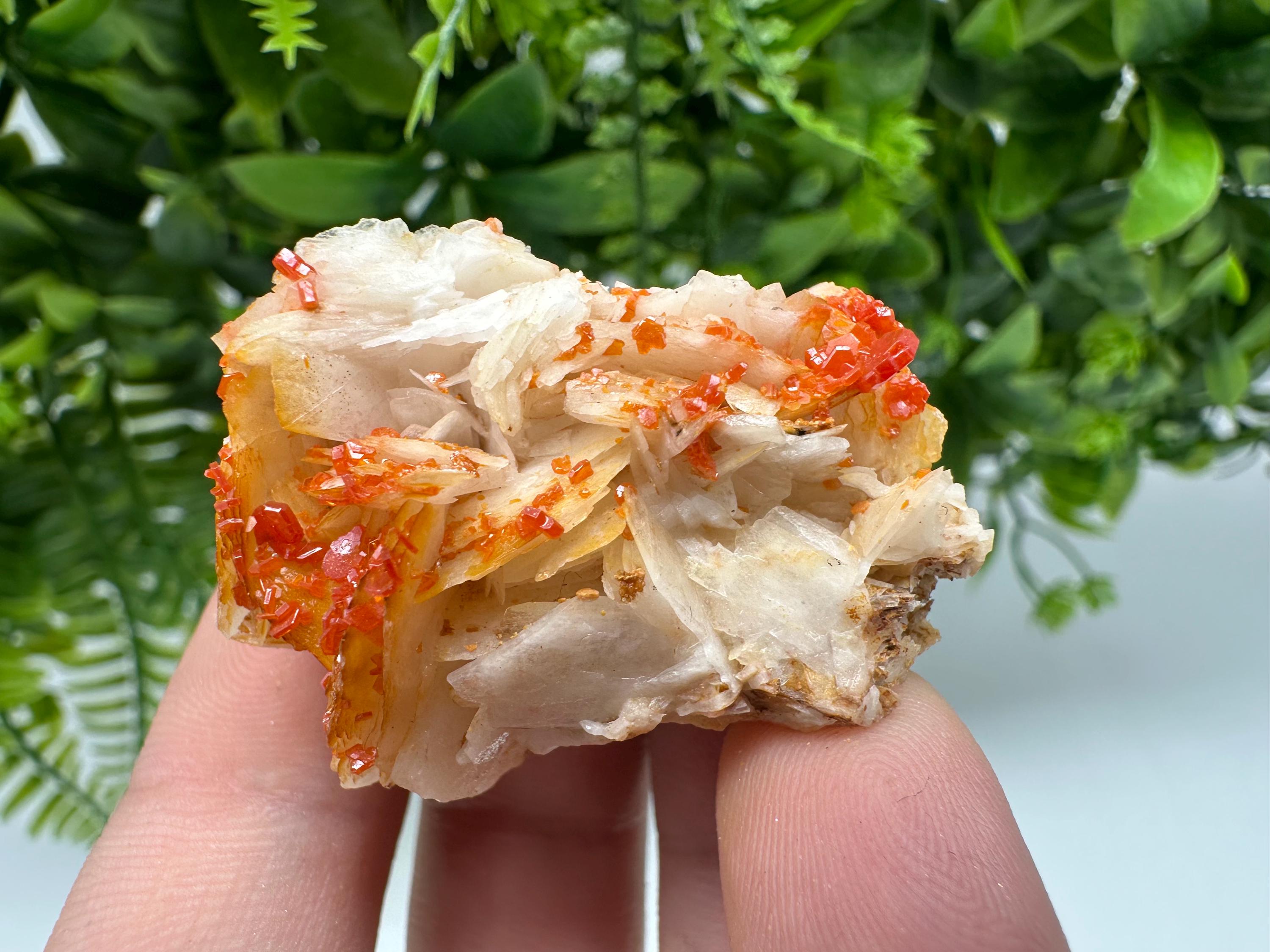 Red Vanadinite on Barite from Marocco,crystal minerals Speciment cluster Vanadinite crystal Vanadinite Geology Vanadinite cluster minerals