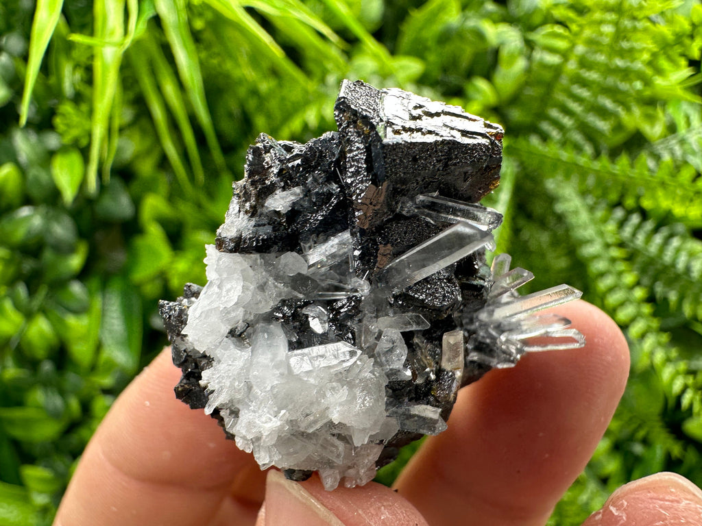 Sphalerite on Transparent Quartz, Kryshev Dol Bulgaria