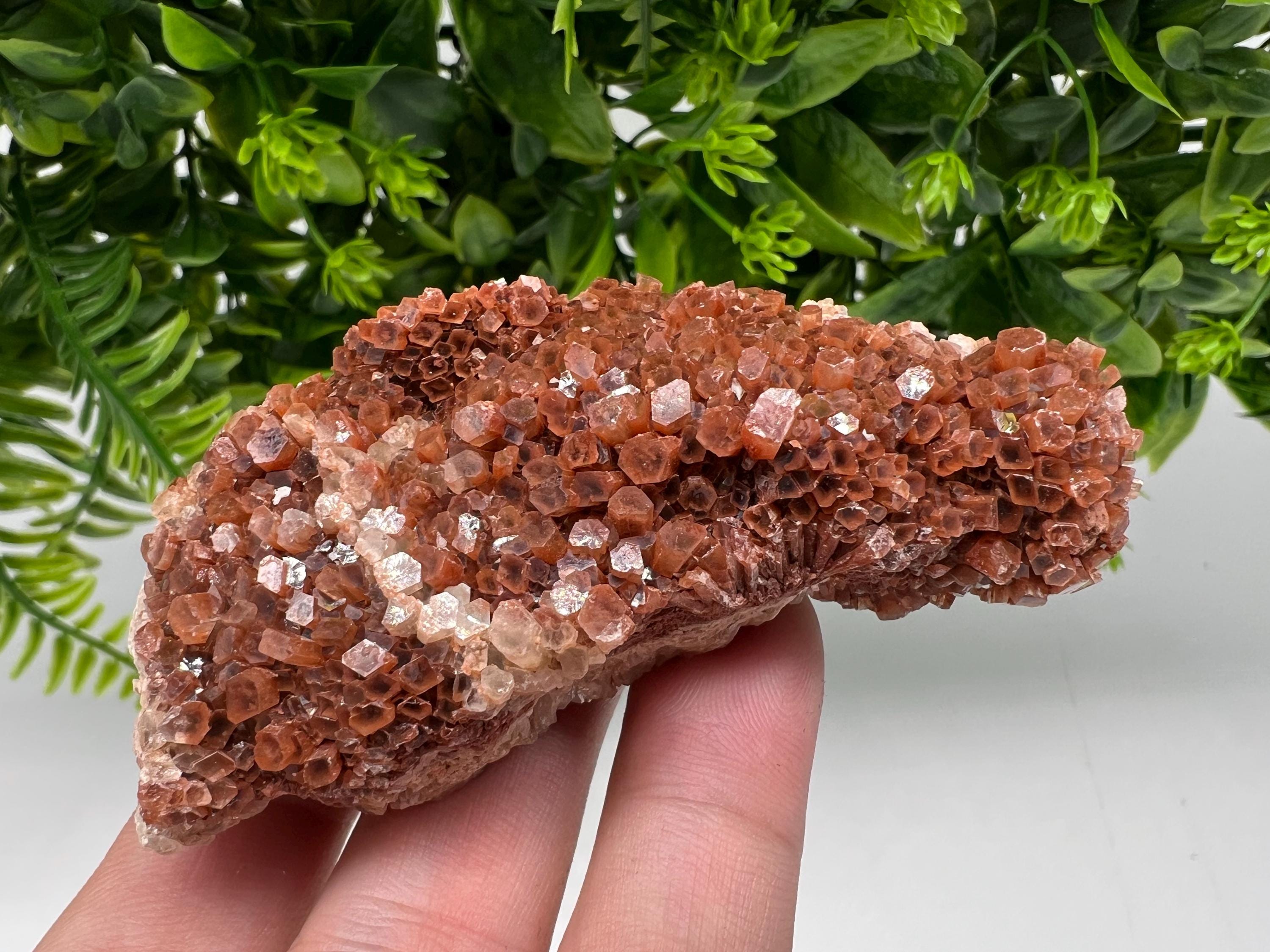 Large Aragonite Sputnik Cluster, Raw Moroccan Crystal Decor