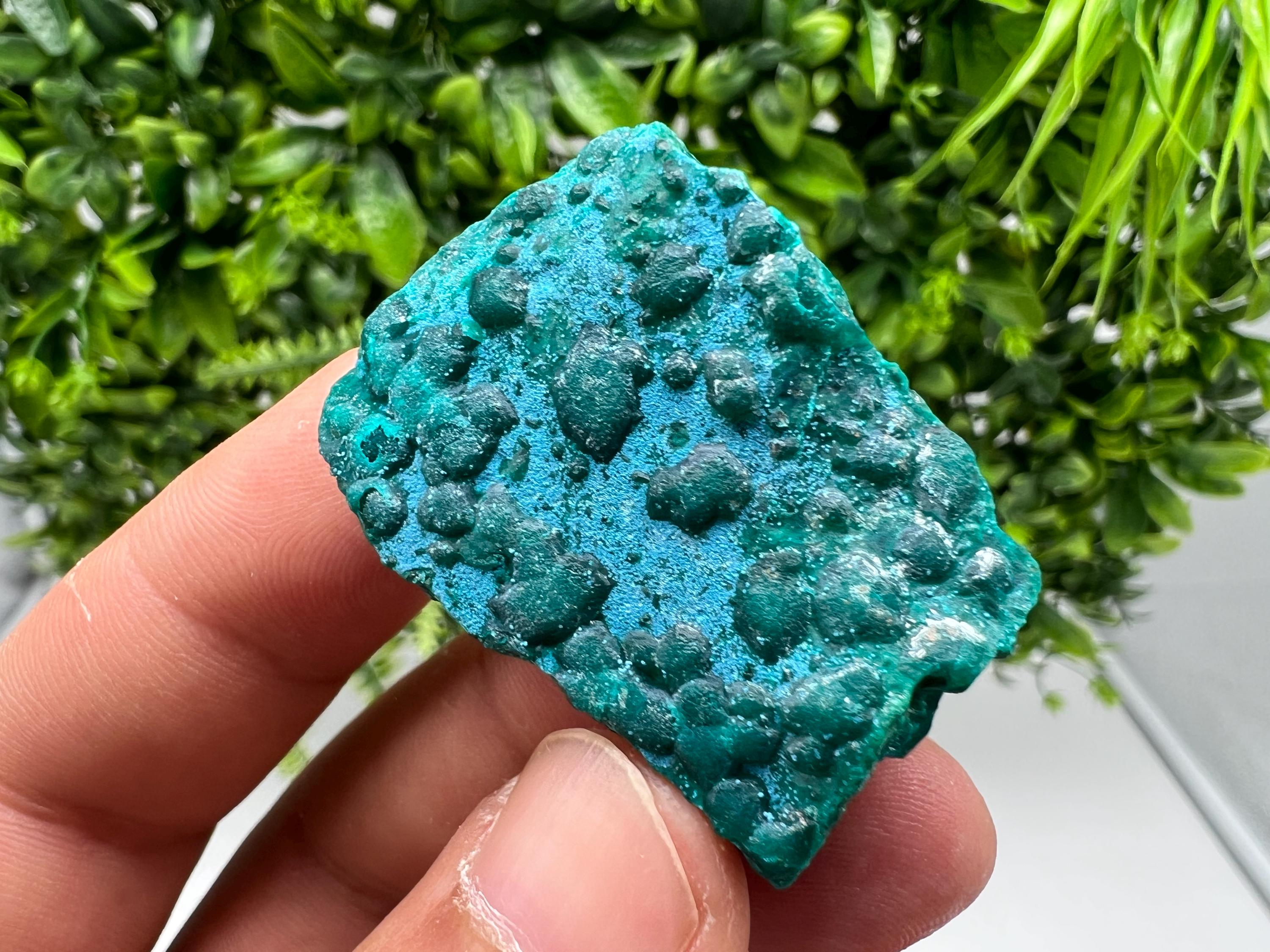 Stunning Green Dioptase from Sanda Hills,Mindouli,Pool Department,Mindouli District,Congo,green Dioptase,Dioptas Crystal,Dioptase collecting