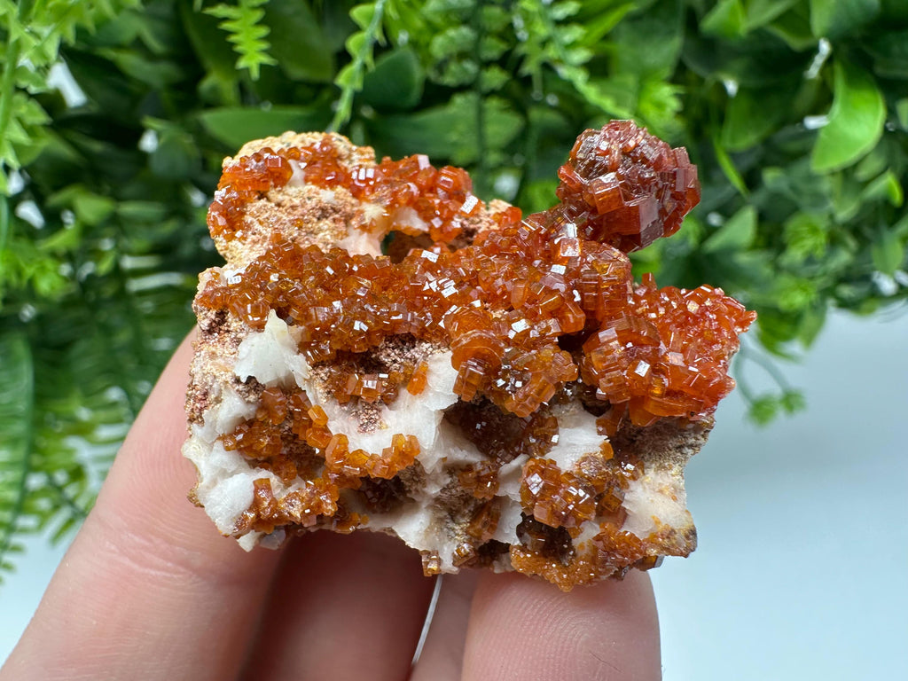 Red Vanadinite on Barite from Marocco,crystal minerals Speciment cluster Vanadinite crystal Vanadinite Geology Vanadinite cluster minerals