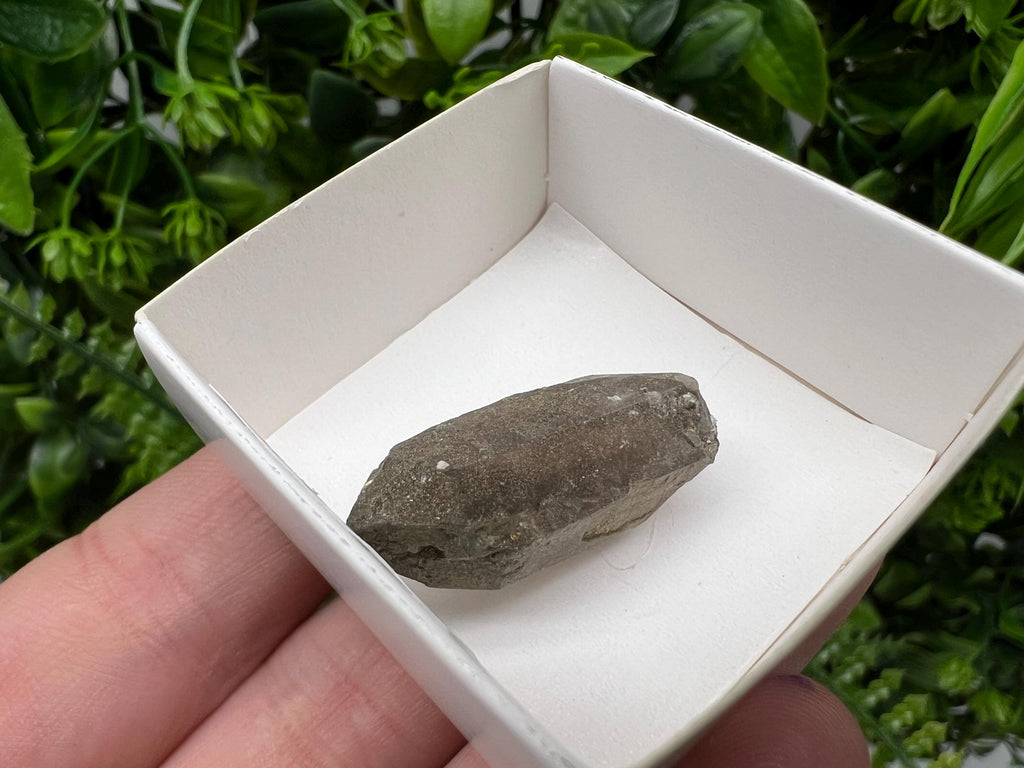 Rare Smoky Quartz Point from Fedenstock Switzerland (30 MM)