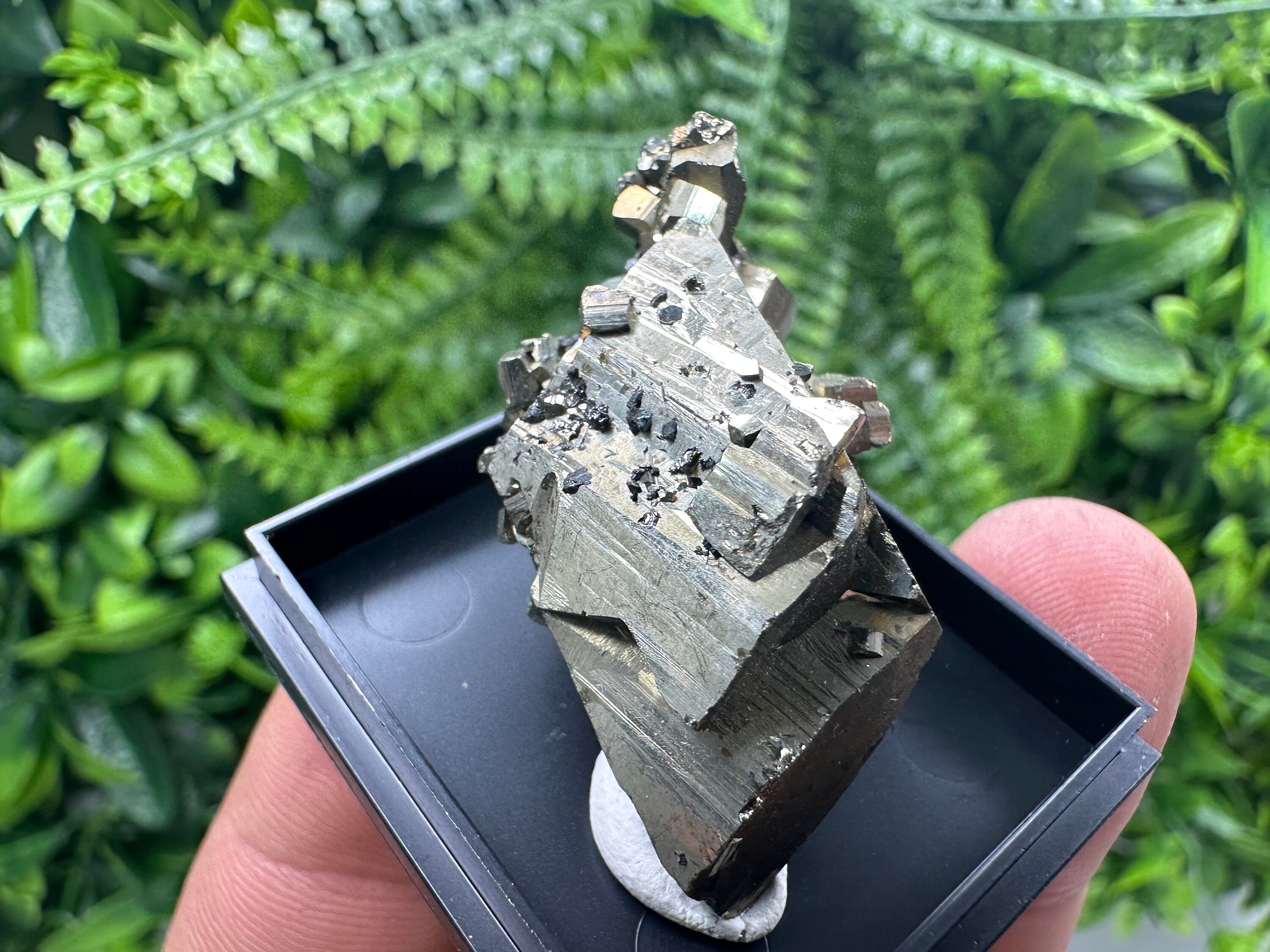 Shiny Pyrite Crystal Cluster, Borieva Mine, Bulgaria