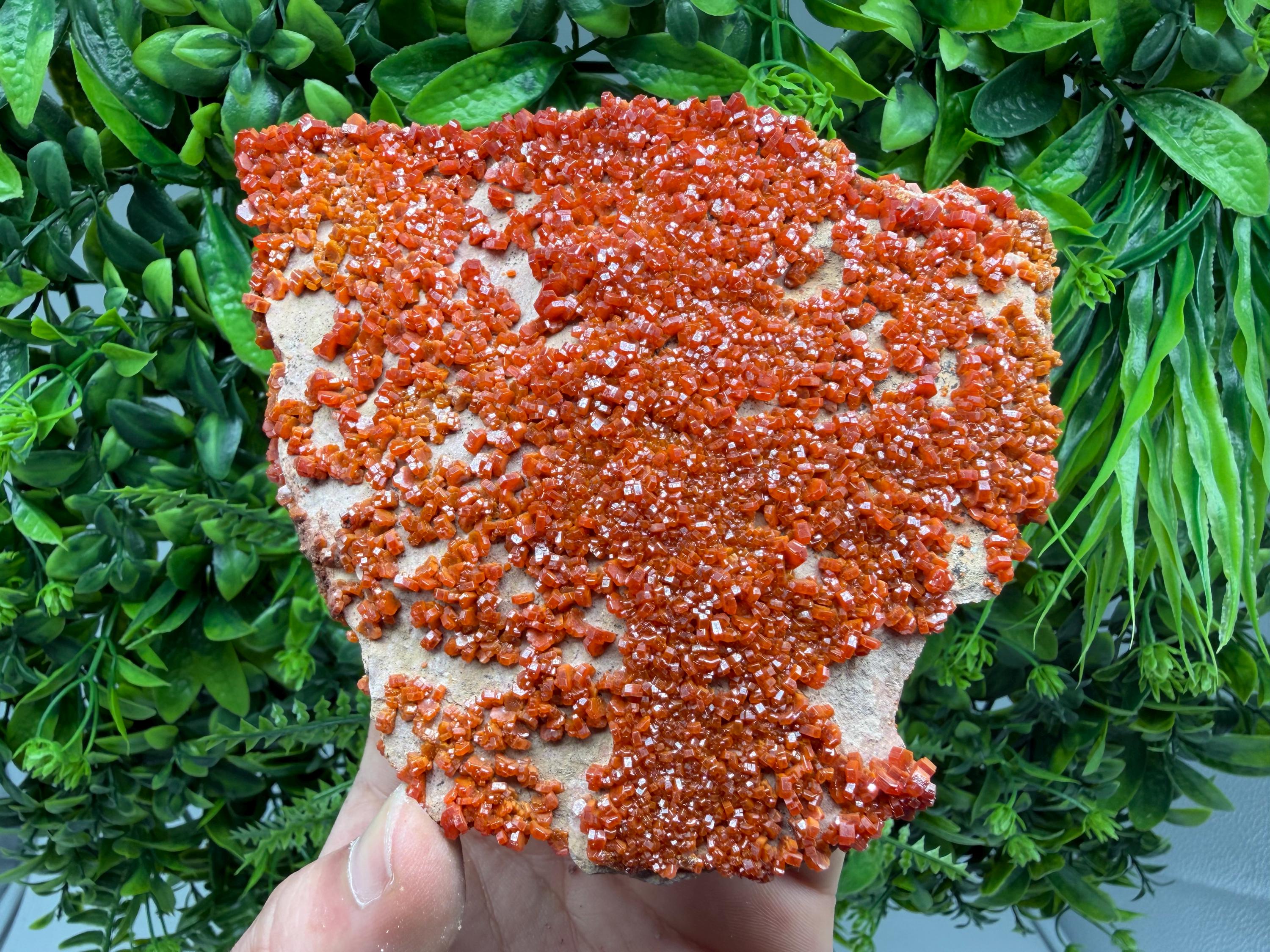 Red Vanadinite on Matrix from Marocco,crystal minerals Speciment cluster Vanadinite crystal Vanadinite Geology Vanadinite cluster minerals