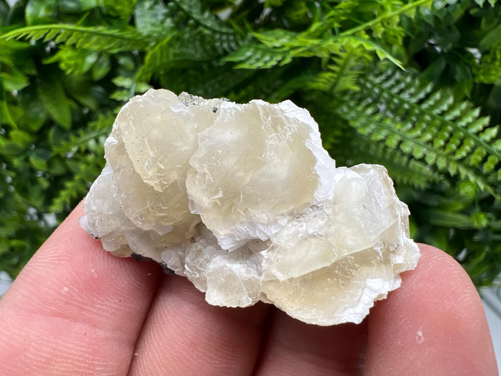 Calcite on Galena Specimen: Borieva Mine, Bulgaria
