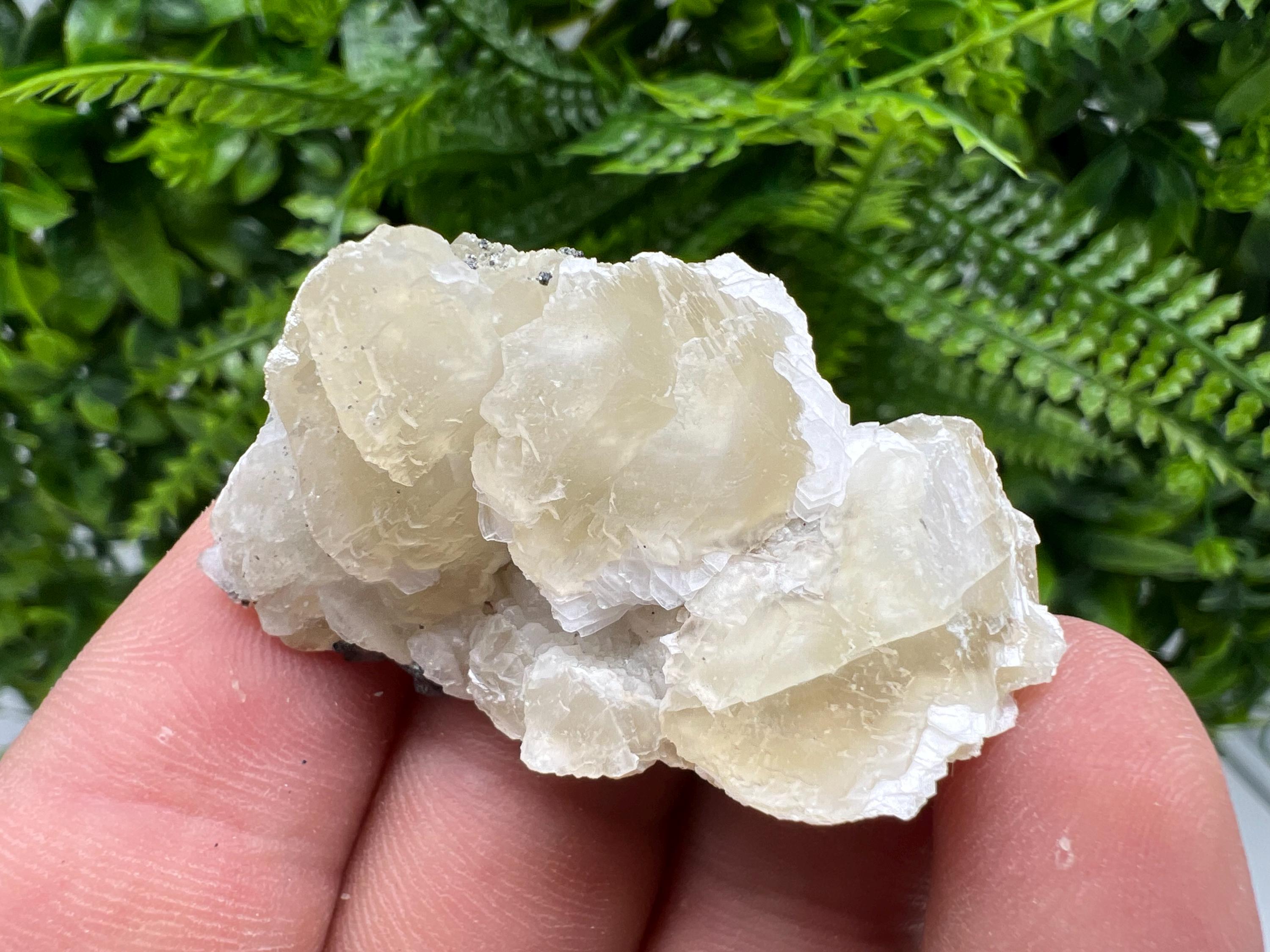Calcite on Galena Specimen: Borieva Mine, Bulgaria