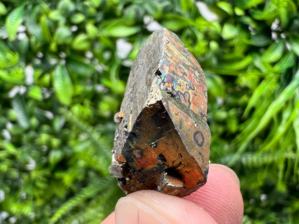 Mini Rare crystallisation Pyrite,Borieva mine,Bulgaria,floating Pyrite,golden Pyrite,Pyrite cluster,mini Collection specimen,Rainbow Pyrite
