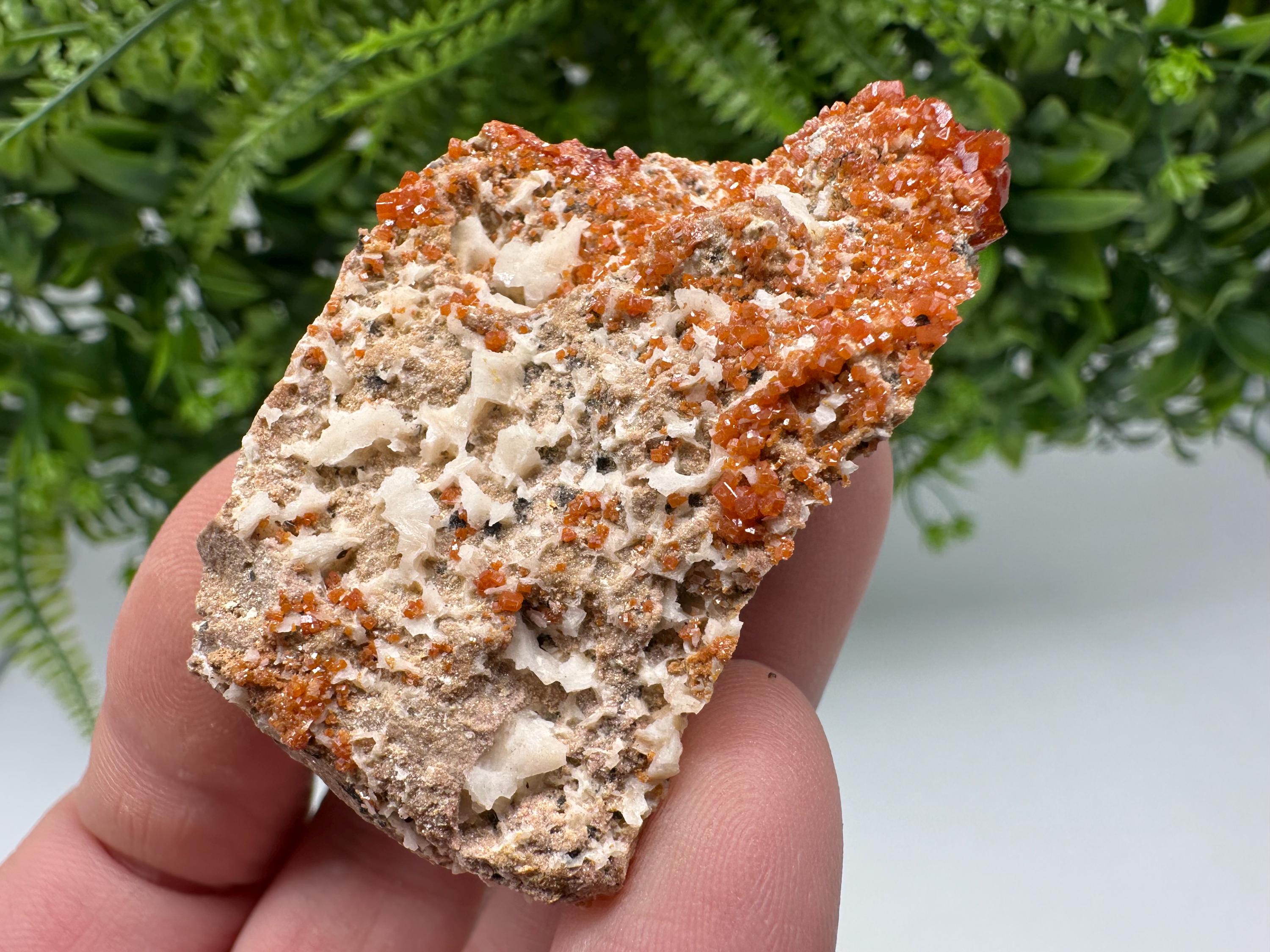 Red Vanadinite on Matrix from Marocco,crystal minerals Speciment cluster Vanadinite crystal Vanadinite Geology Vanadinite cluster minerals