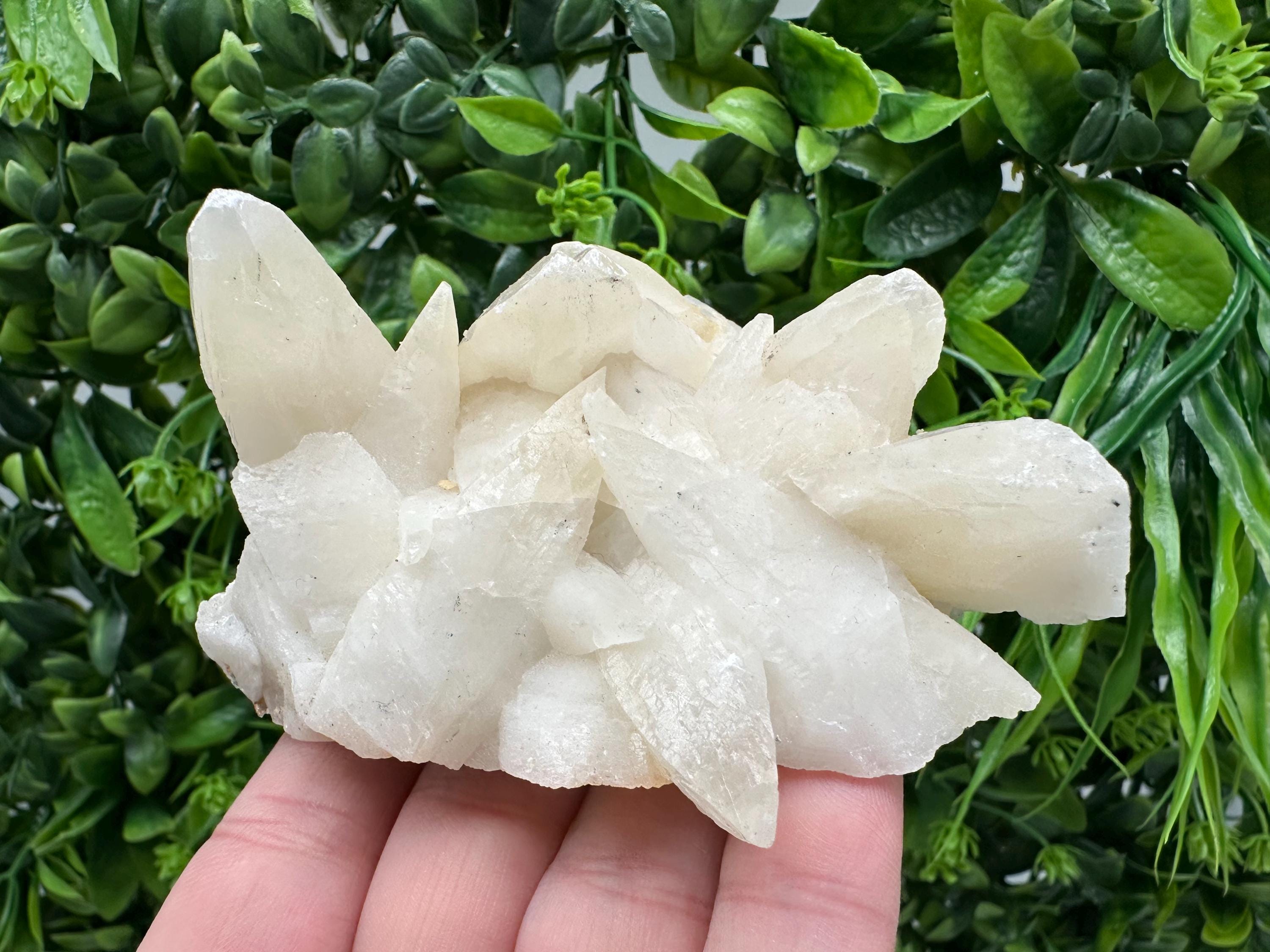 Calcite on Green Quartz: Laki Bulgaria Healing Crystal