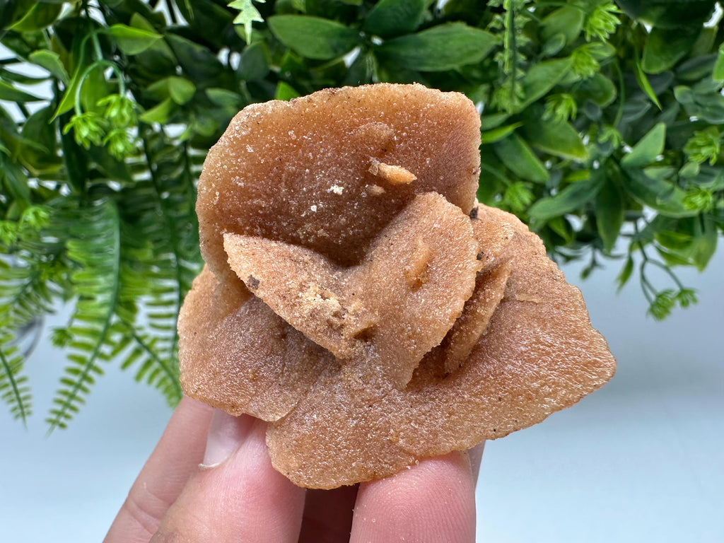 Natural Desert Rose Crystal - Root Chakra Healing Selenite Stone