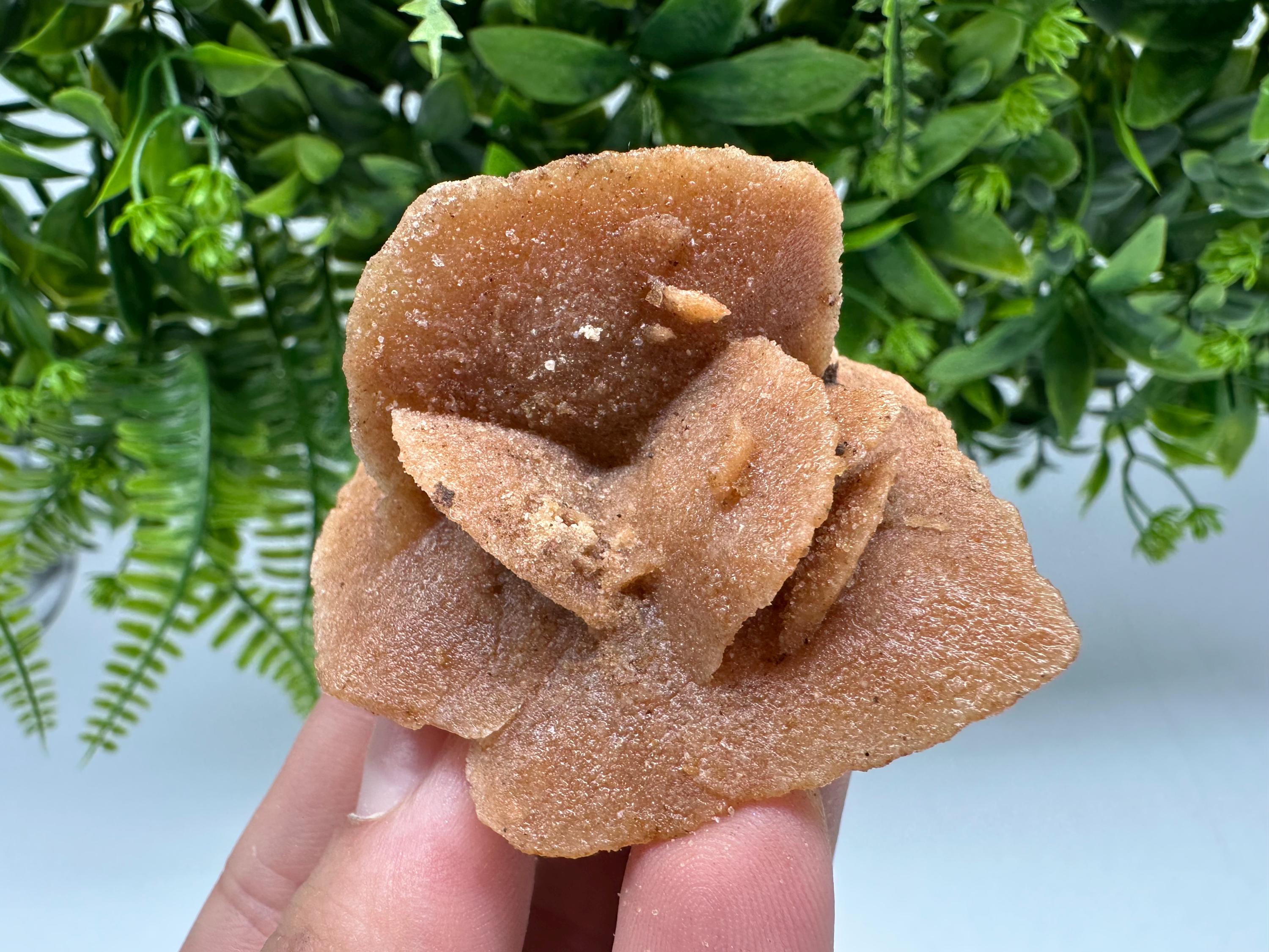 Natural Desert Rose Crystal - Root Chakra Healing Selenite Stone