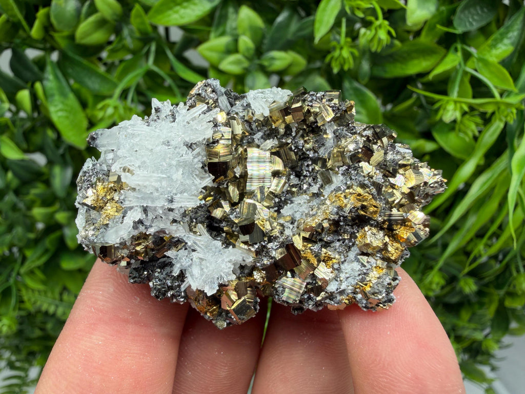 Pyrite Sphalerite Quartz  Mineral Specimen, Krushev dol Mine