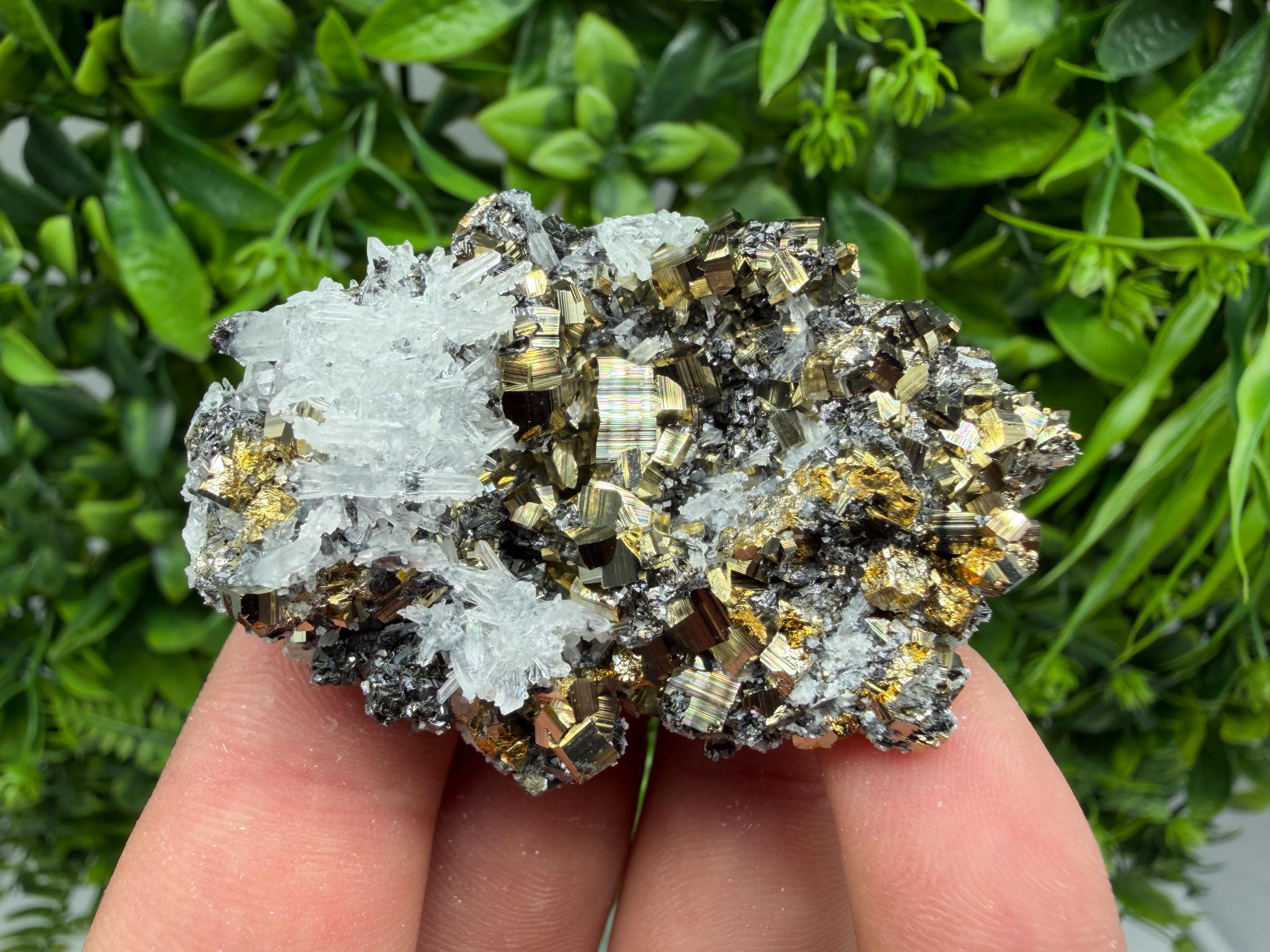 Pyrite Sphalerite Quartz  Mineral Specimen, Krushev dol Mine