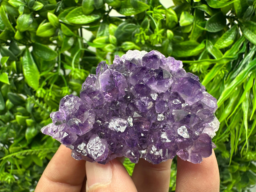 Uruguay Amethyst Cluster: Purple Quartz Crystal, Home Decor