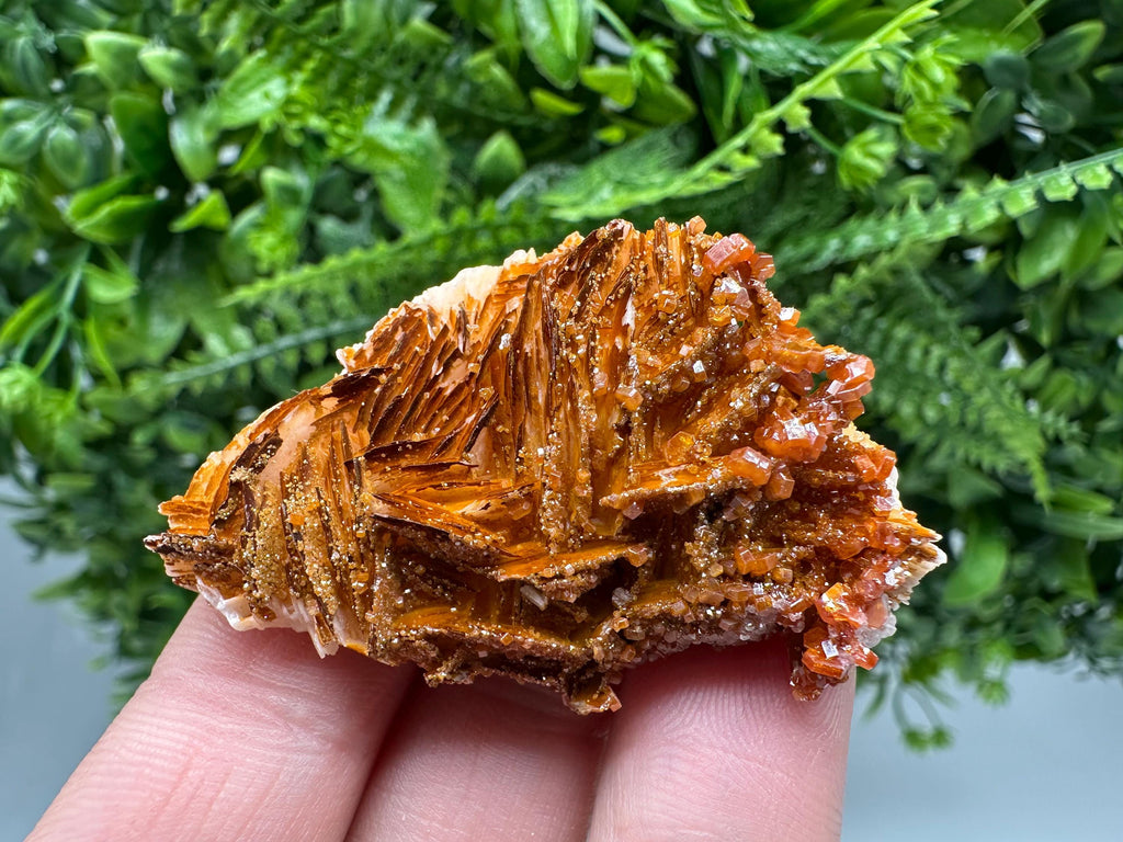 Red Vanadinite on Barite Cluster, Moroccan Crystal Mineral Specimen
