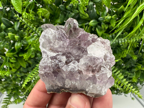 Brazilian Amethyst Crystal Cluster, Purple Quartz Specimen