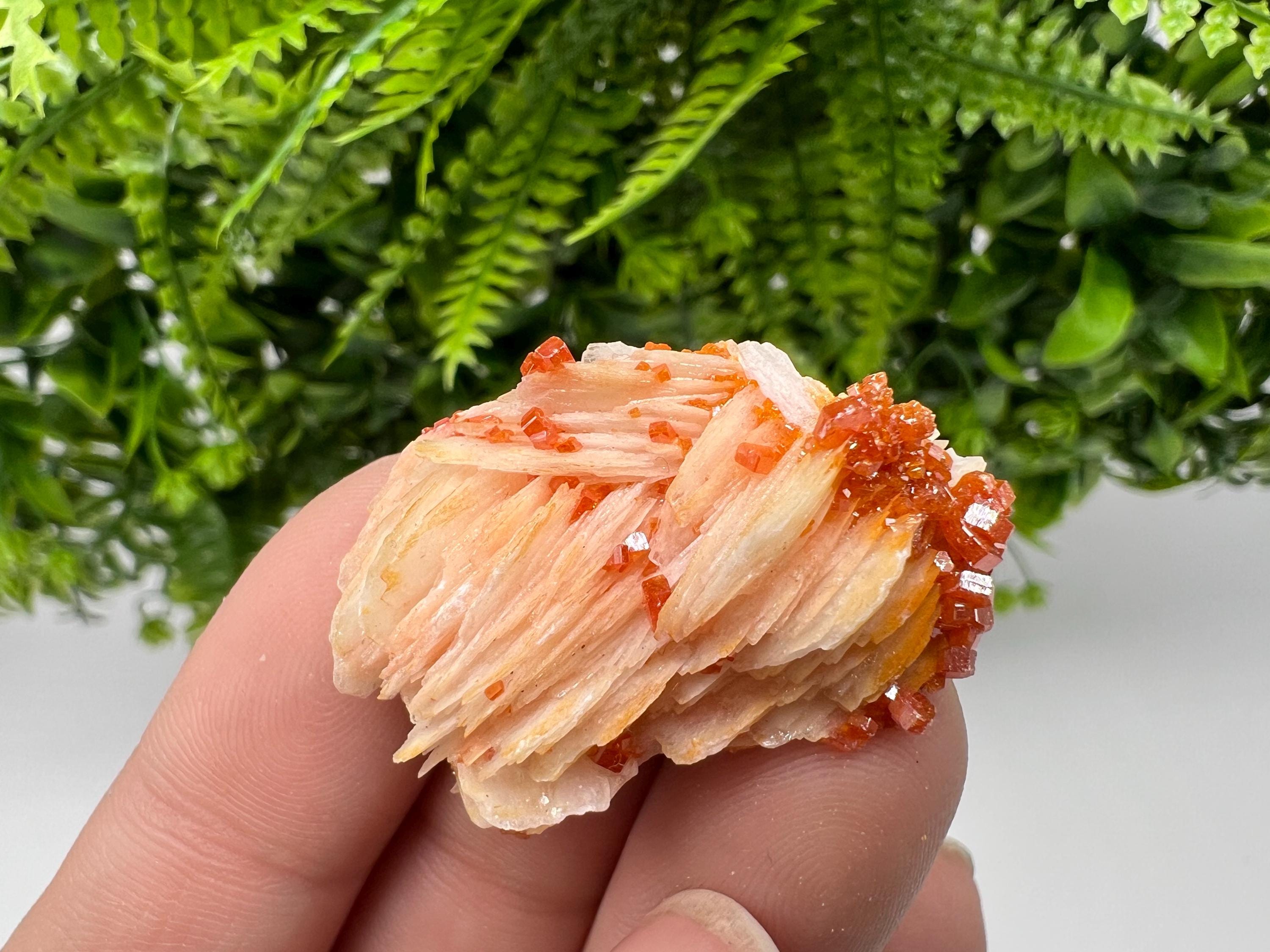 Red Vanadinite on Barite, Morocco Crystal Specimen