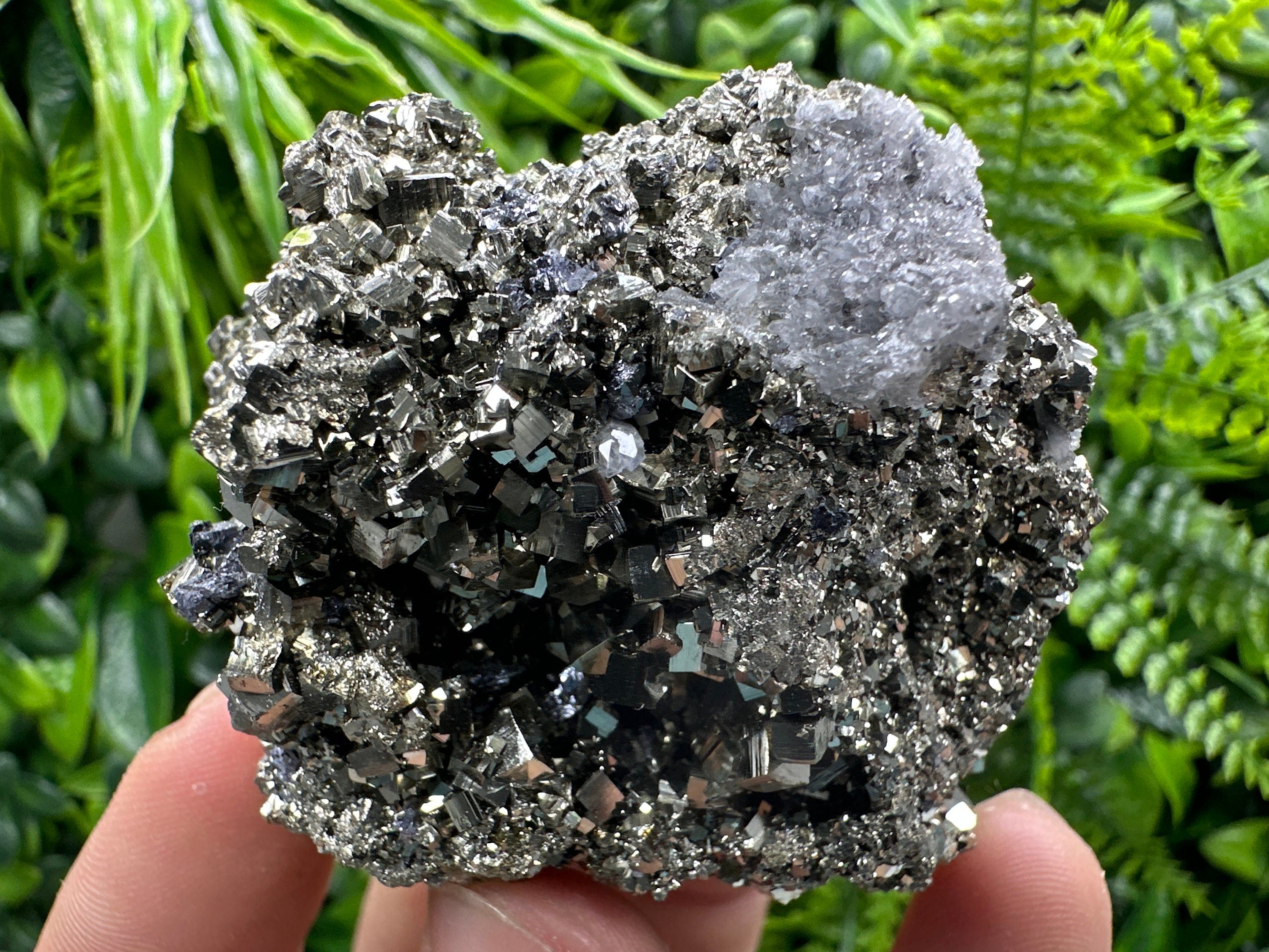 Golden Pyrite Crystal: Borieva Mine, Bulgaria