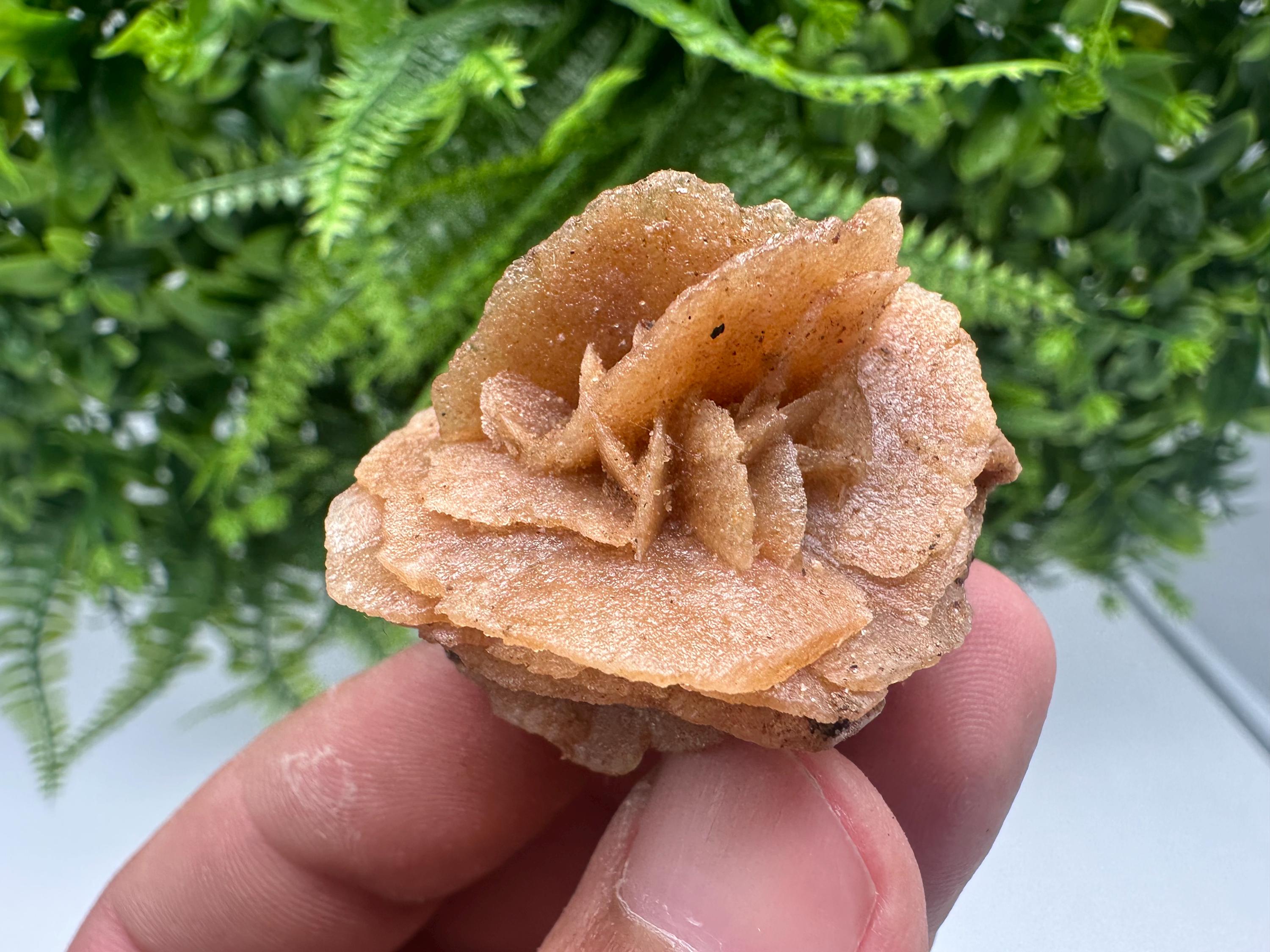 Desert Rose Crystal: Root Chakra Healing Selenite Stone