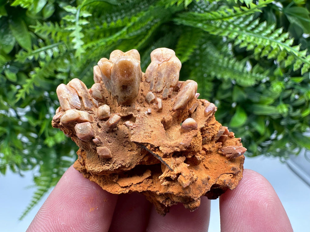 Brown Gypsum Selenite Crystal, Rudna Mine Mineral Specimen