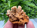 Brown Gypsum Selenite Crystal, Rudna Mine Mineral Specimen