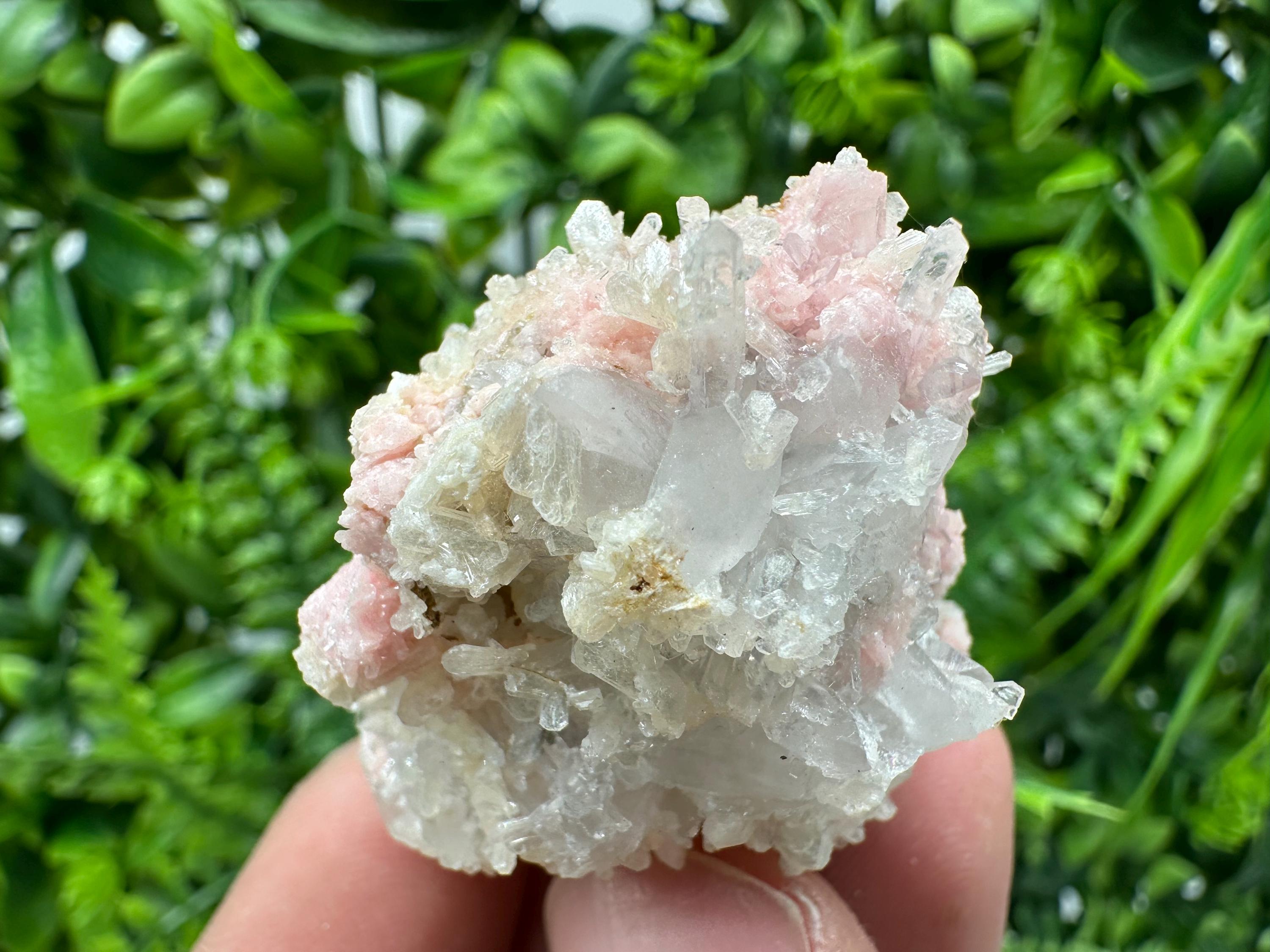 Pink Rhodochrosite Crystal: Starnica Mine, Bulgaria
