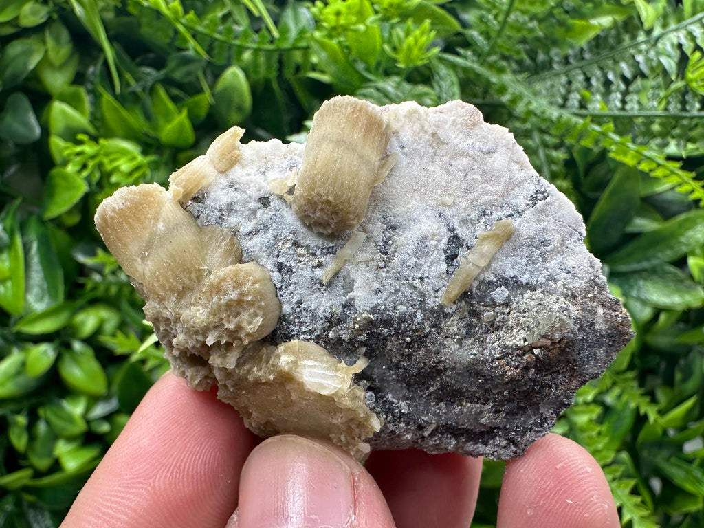 Rare Calcite Cluster on Matrix, Bulgarian Mineral Specimen