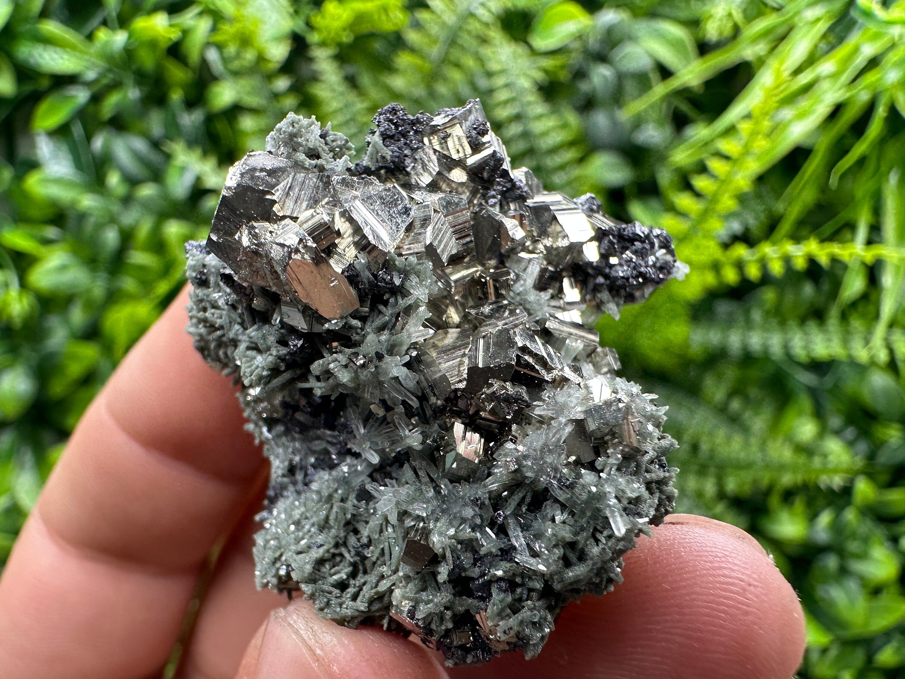 Crystallized Pyrite on Green Quartz: Borieva Mine, Bulgaria