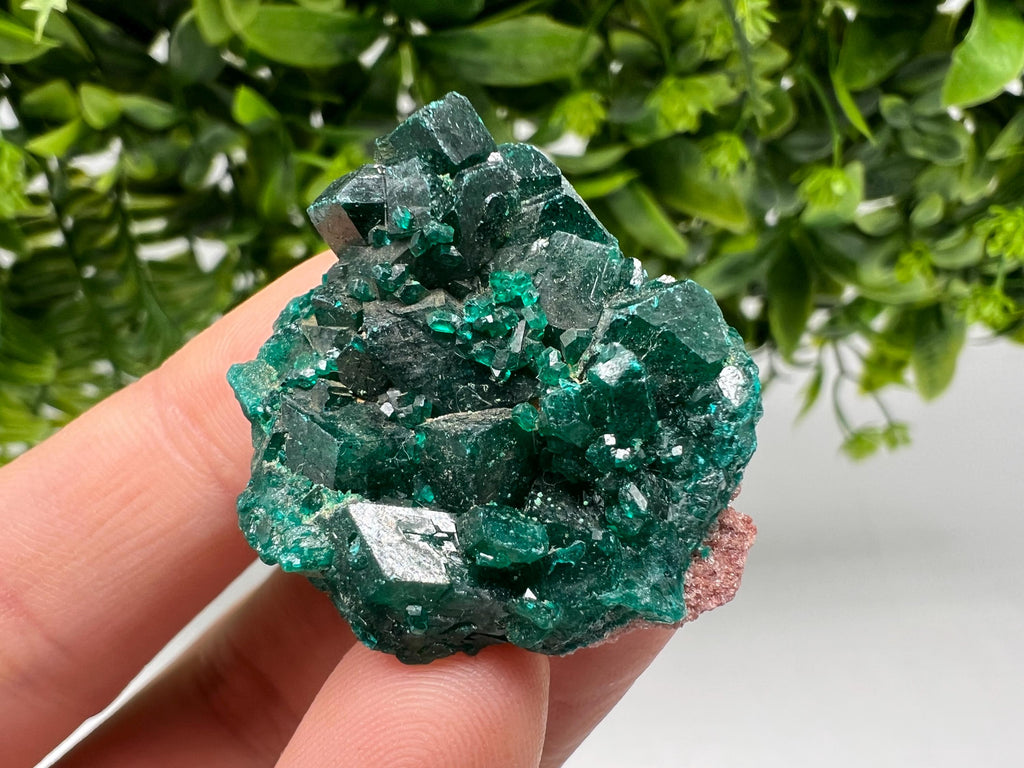 Stunning Green Dioptase from Sanda Hills,Mindouli,Pool Department,Mindouli District,Congo,green Dioptase,Dioptas Crystal,Dioptase collecting