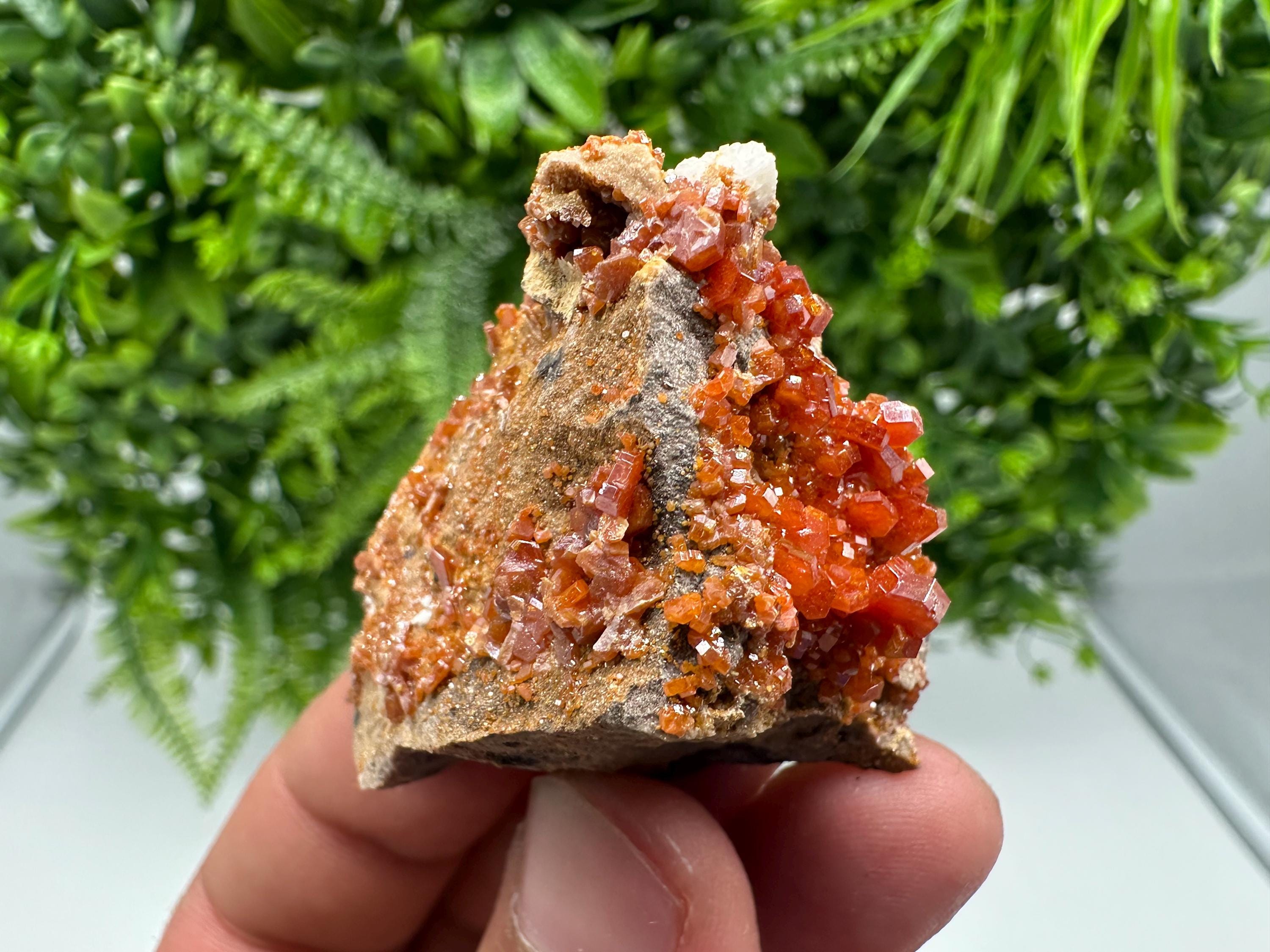 Red Vanadinite on Barite from Marocco,crystal minerals Speciment cluster Vanadinite crystal Vanadinite Geology Vanadinite cluster minerals